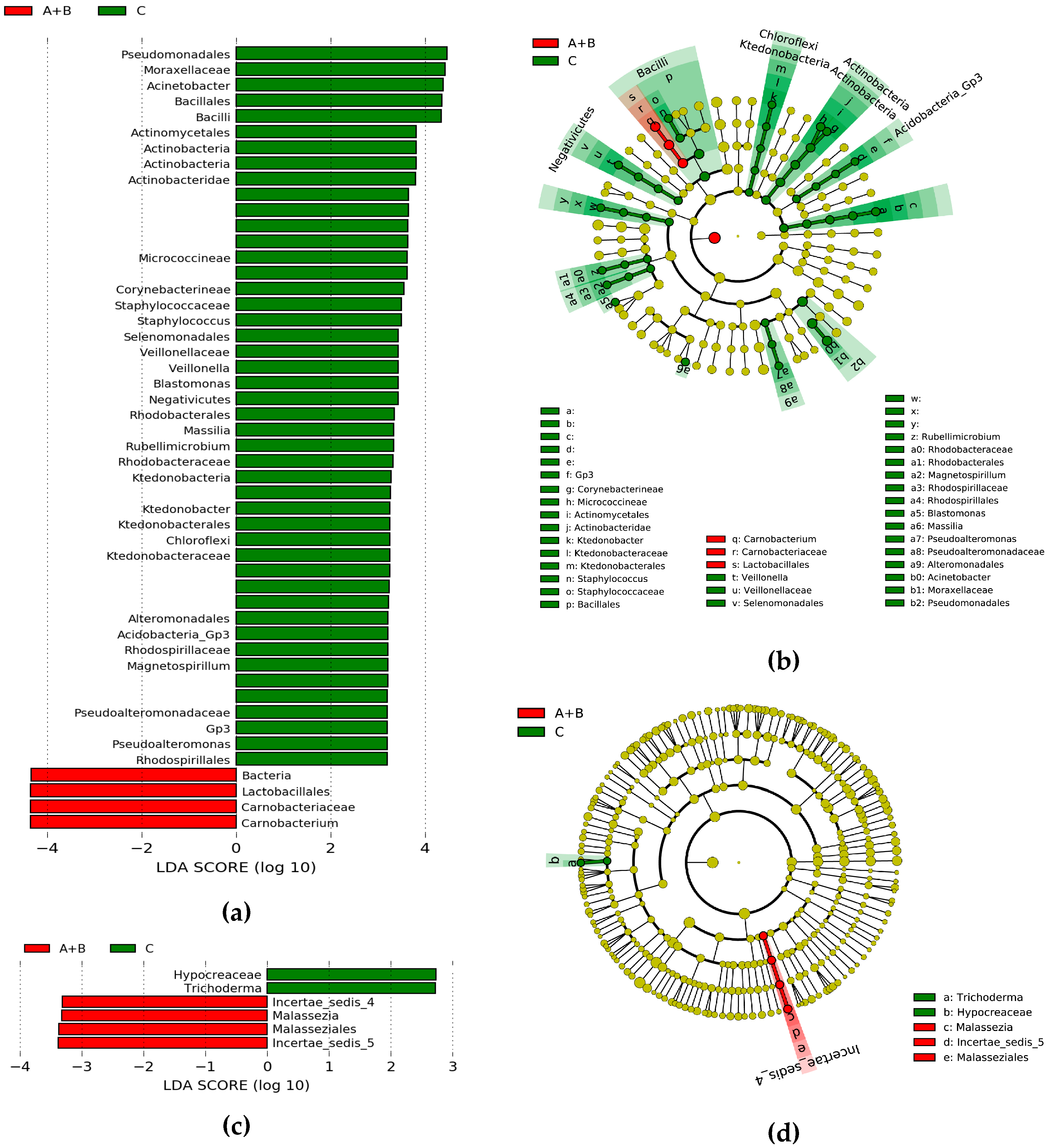 Microorganisms 07 00517 g006 Microorganisms 07 00517 g006