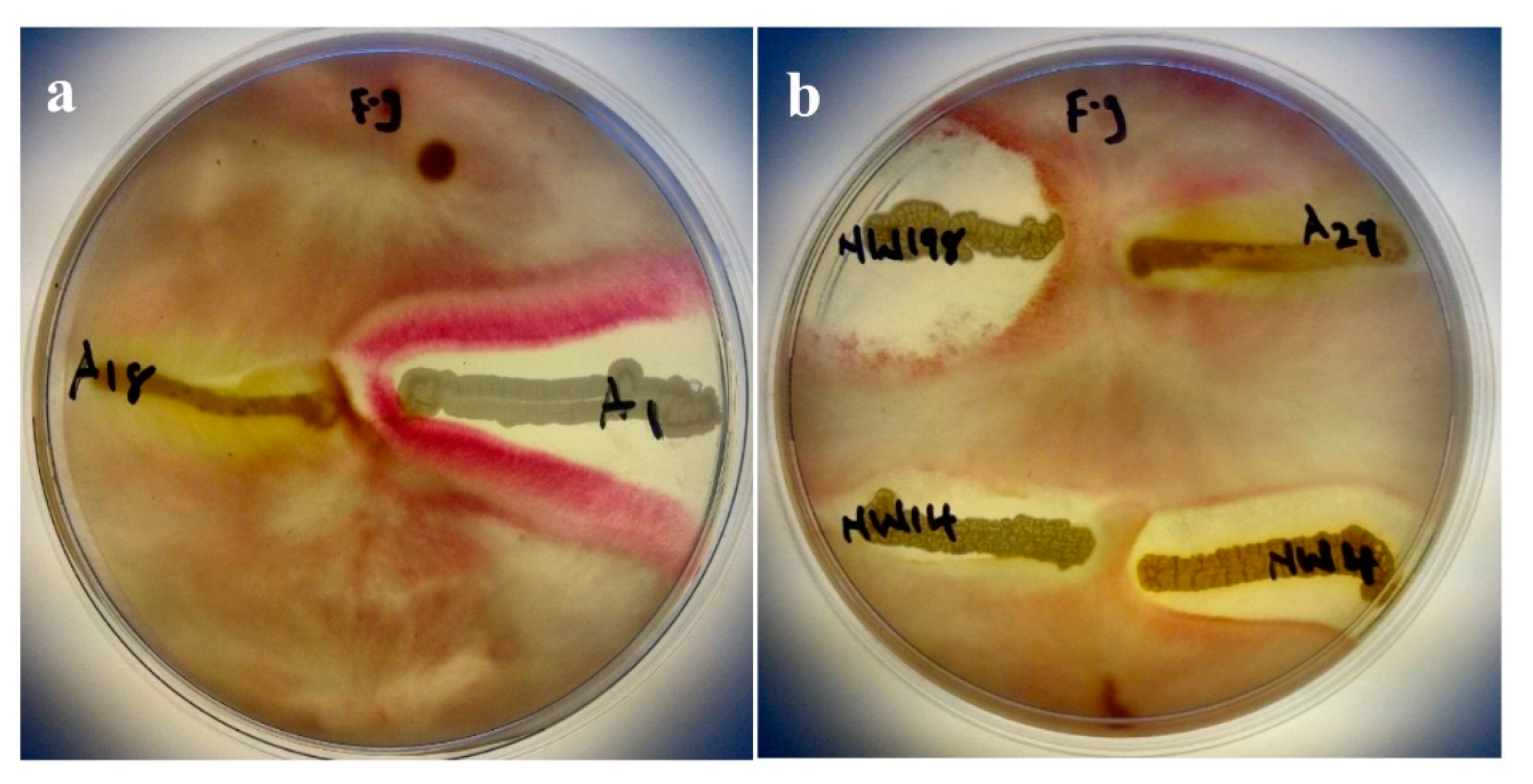 Microorganisms 07 00519 g003