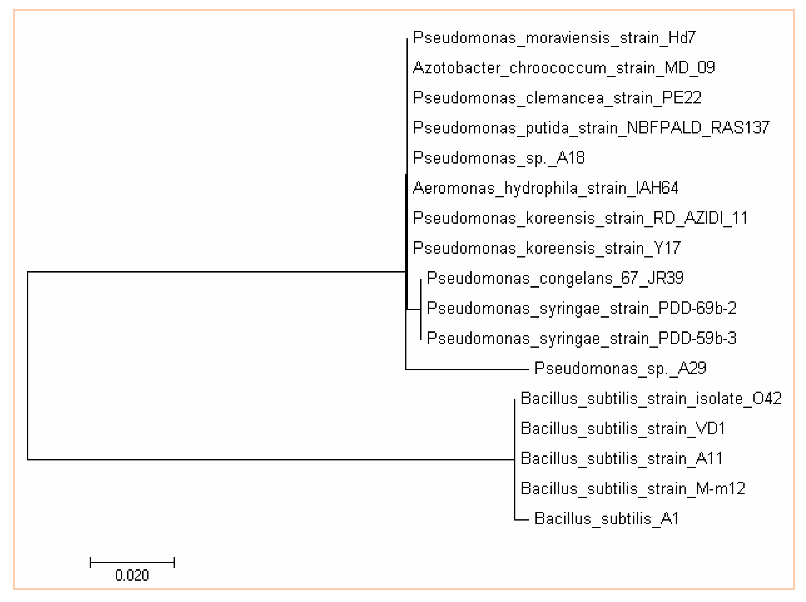 Microorganisms 07 00519 g004