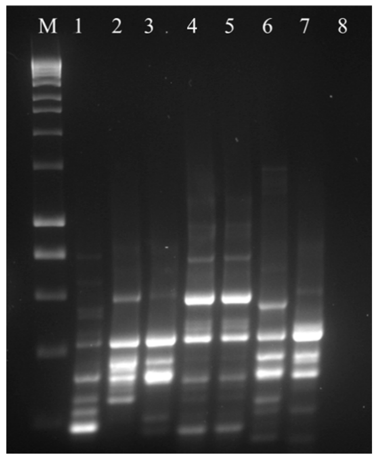 Microorganisms 07 00524 g002 Microorganisms 07 00524 g002