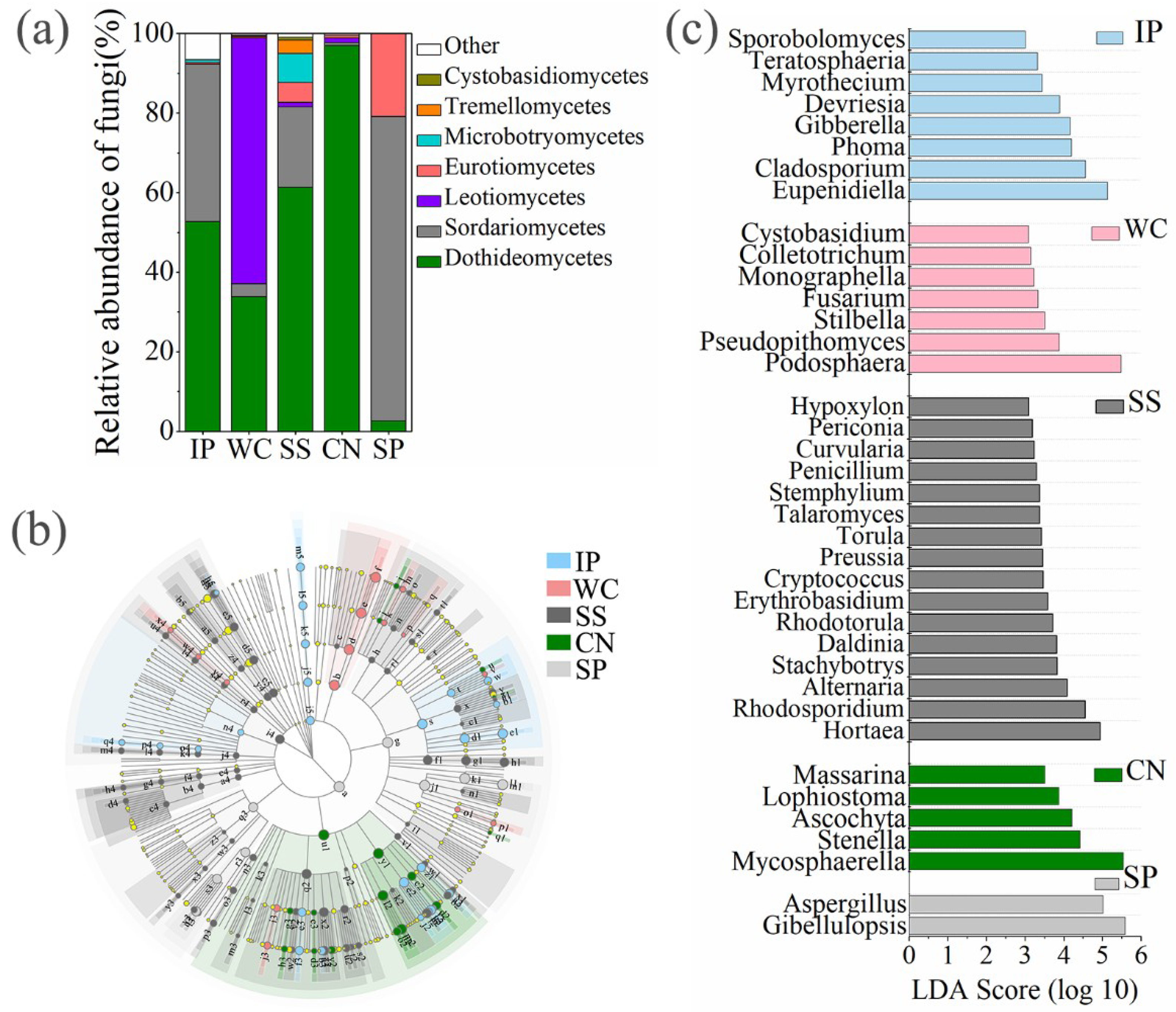 Microorganisms 07 00525 g004