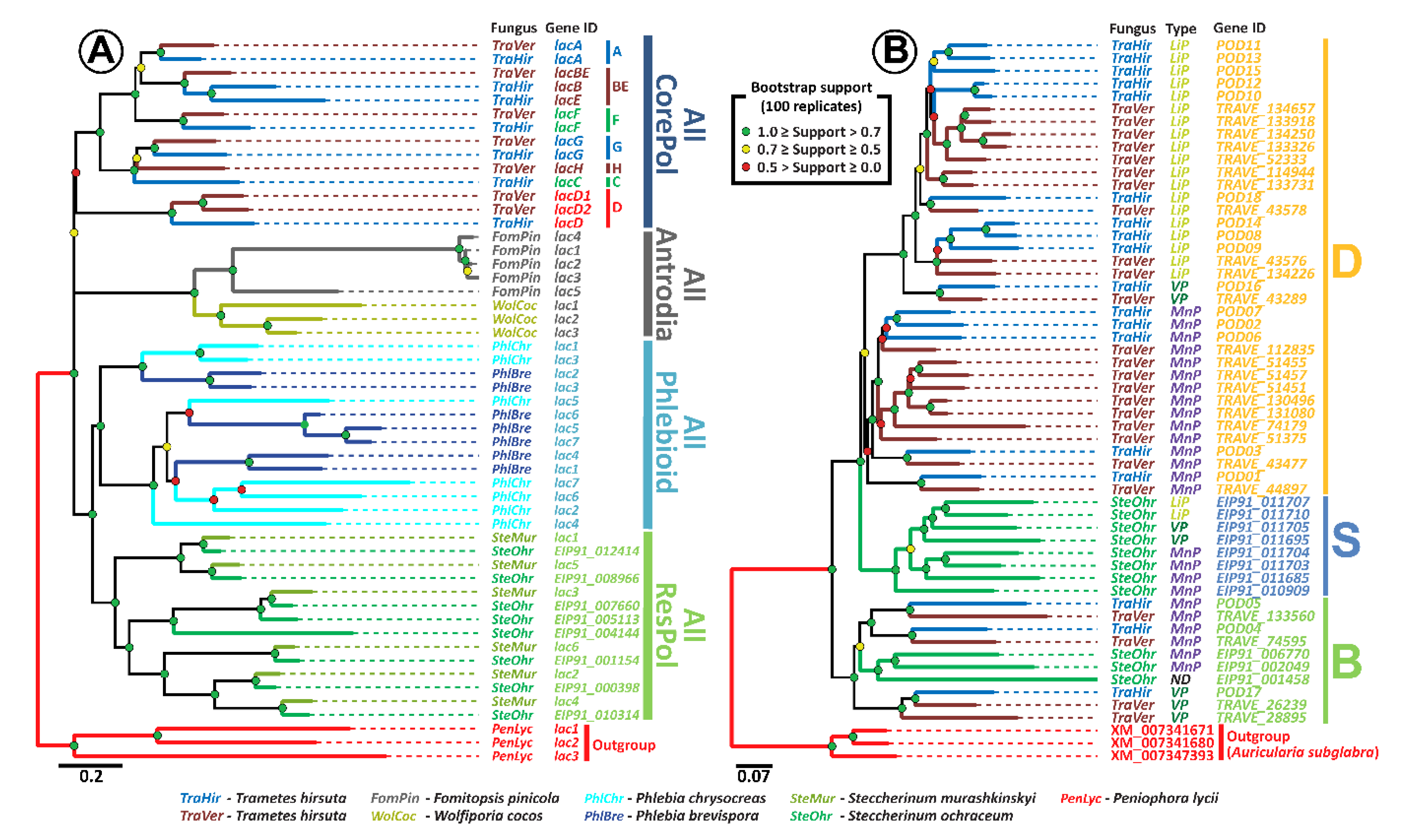 Microorganisms 07 00527 g003 Microorganisms 07 00527 g003