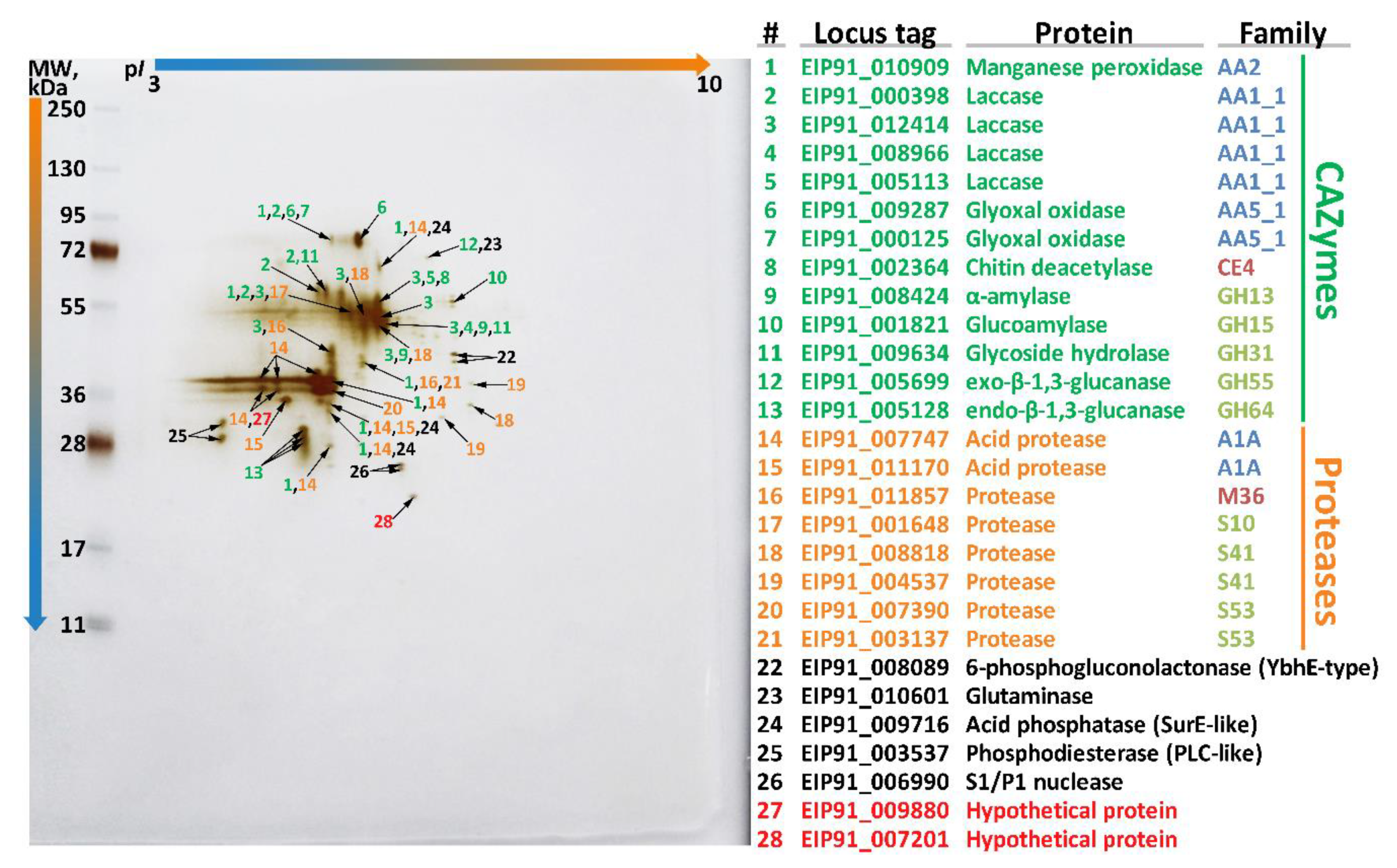 Microorganisms 07 00527 g005 Microorganisms 07 00527 g005