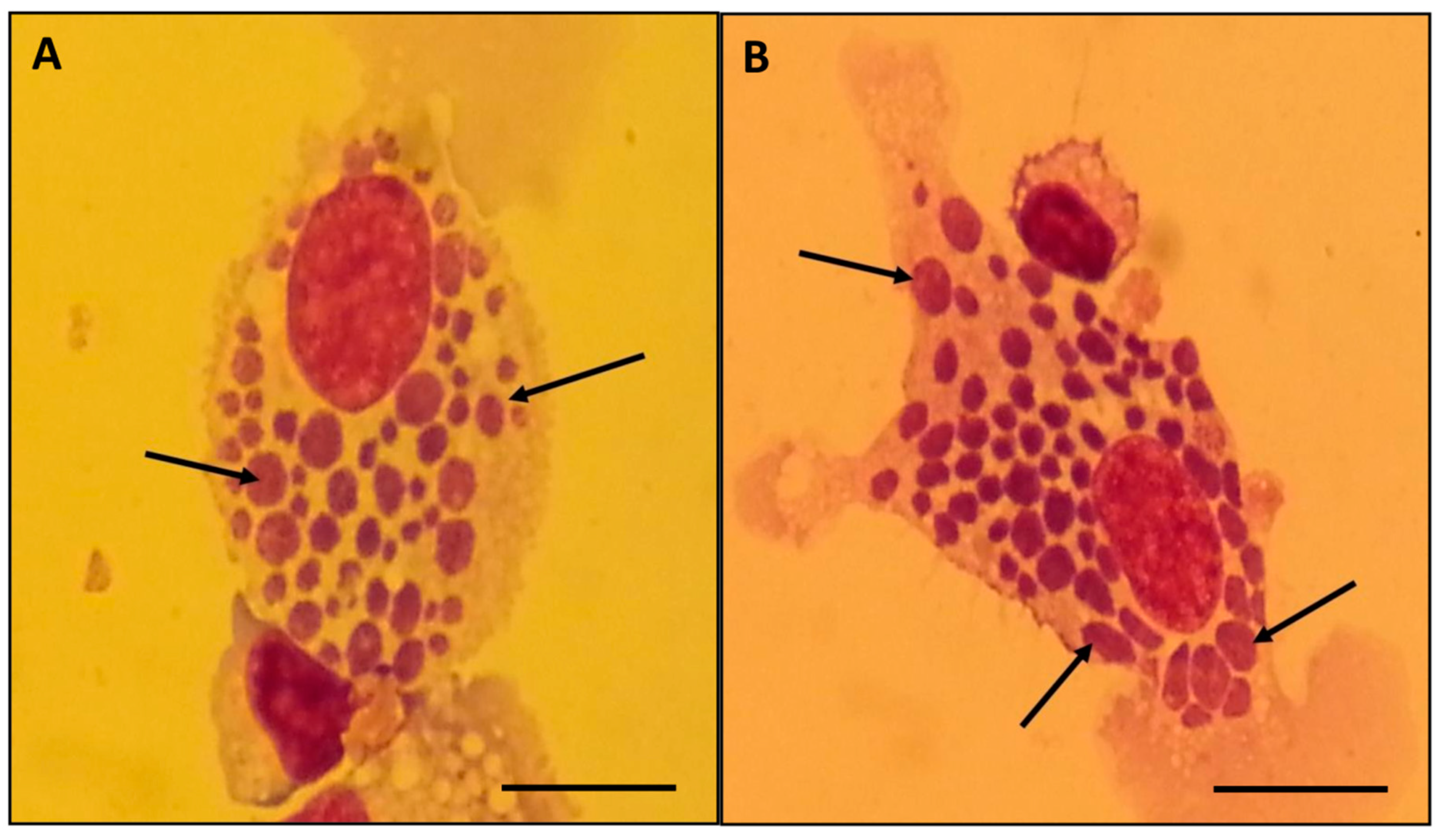 Microorganisms 07 00528 g001 Microorganisms 07 00528 g001