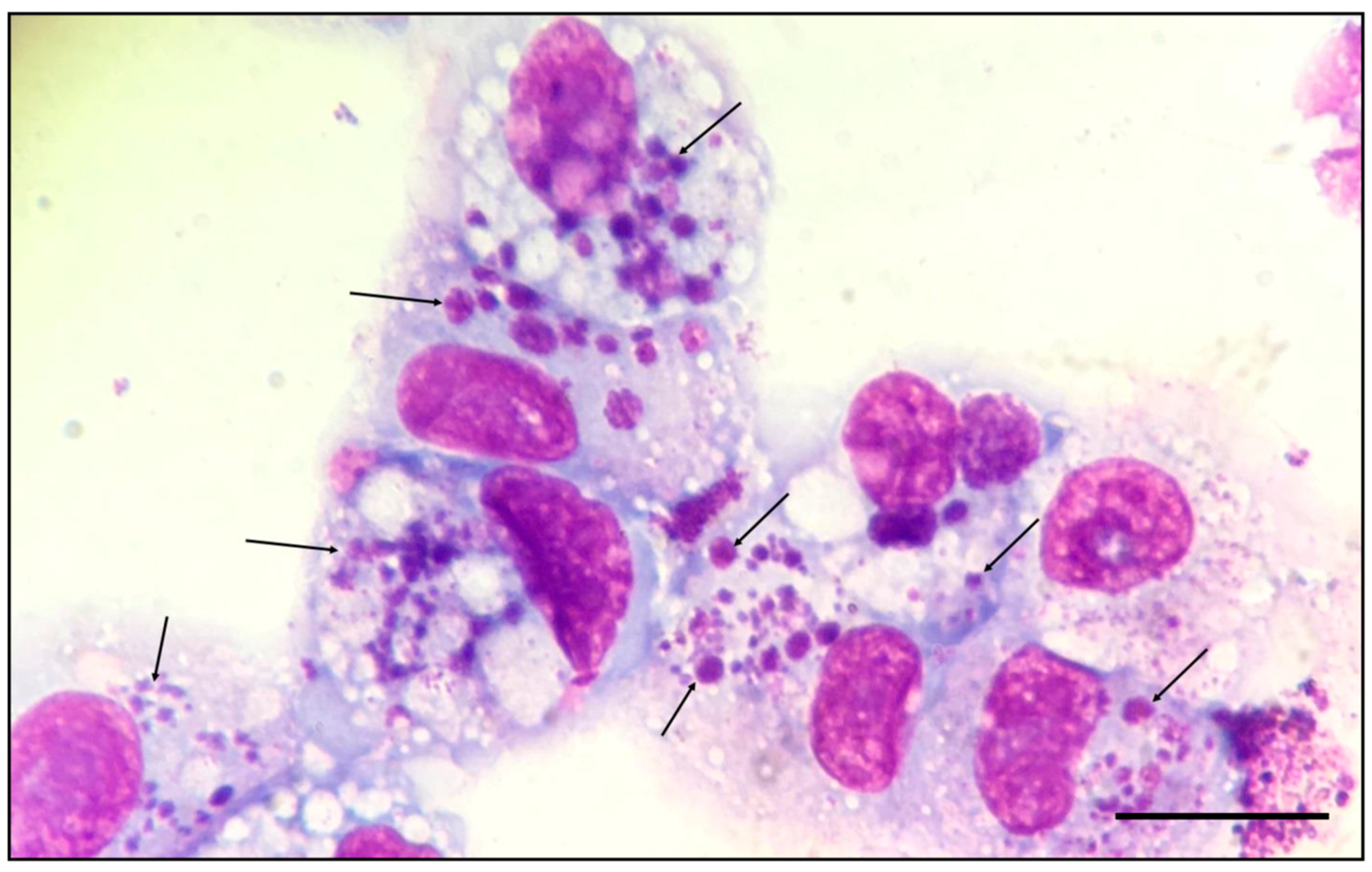 Microorganisms 07 00528 g002 Microorganisms 07 00528 g002