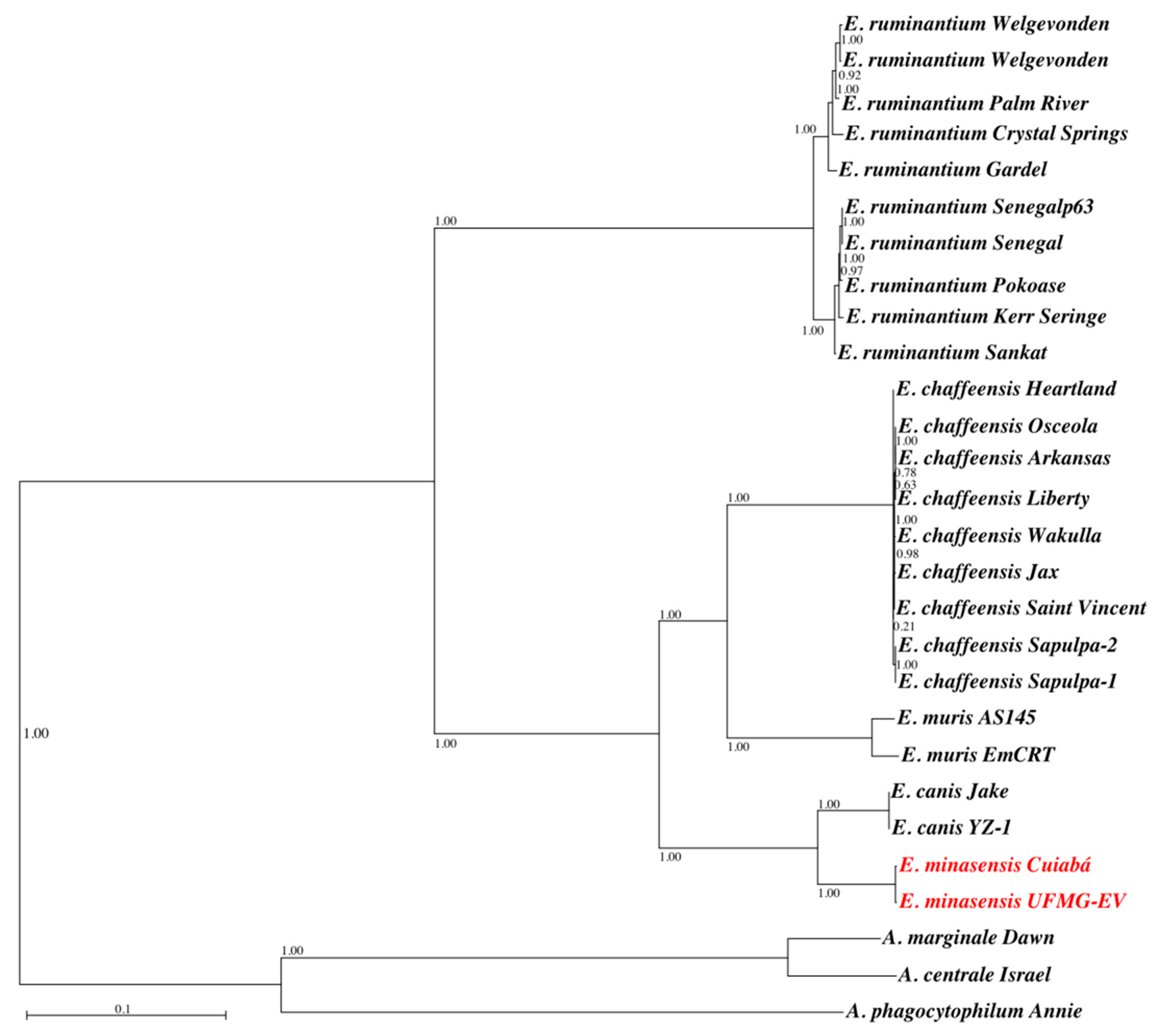 Microorganisms 07 00528 g004 Microorganisms 07 00528 g004
