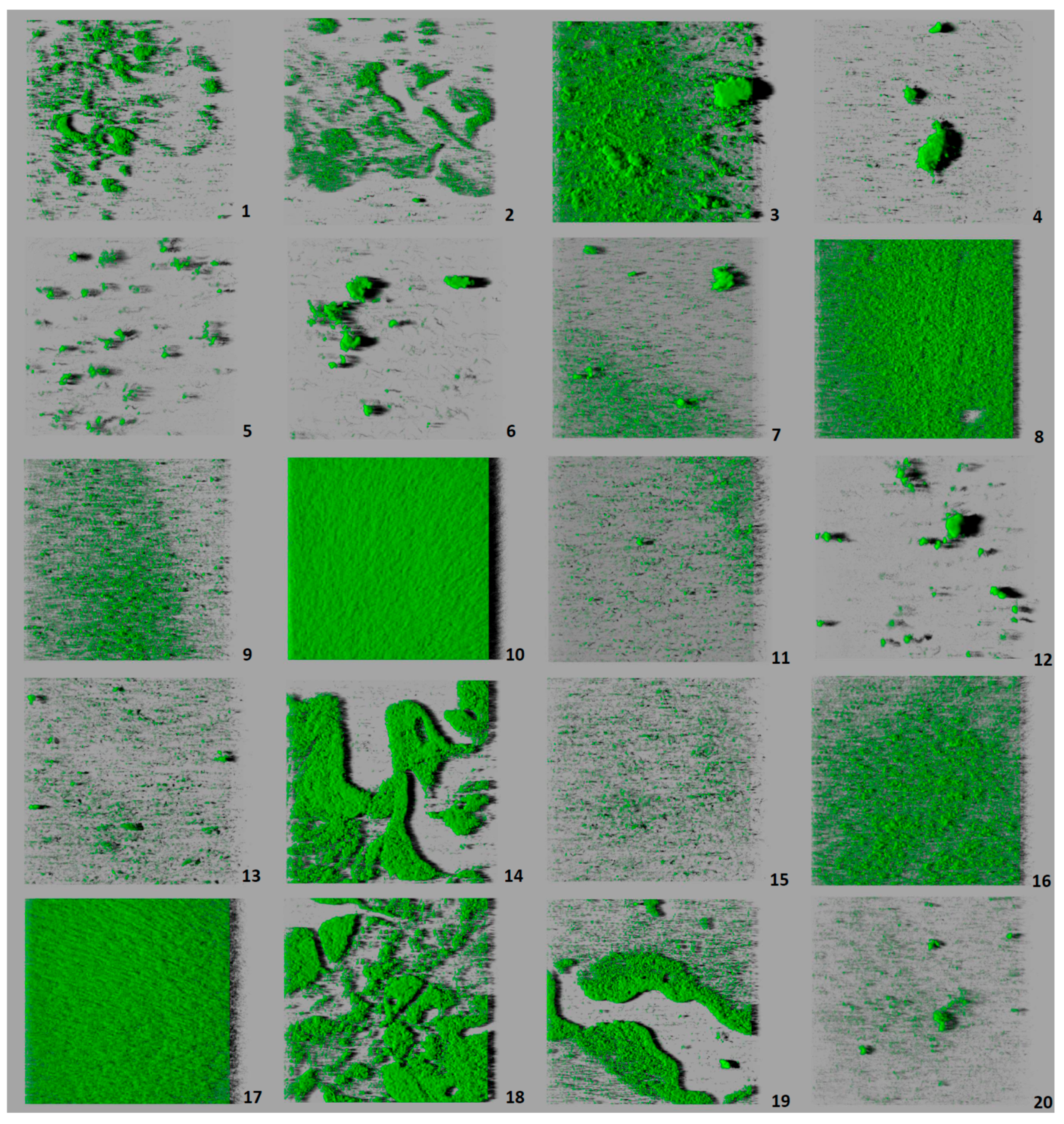 Microorganisms 07 00529 g002