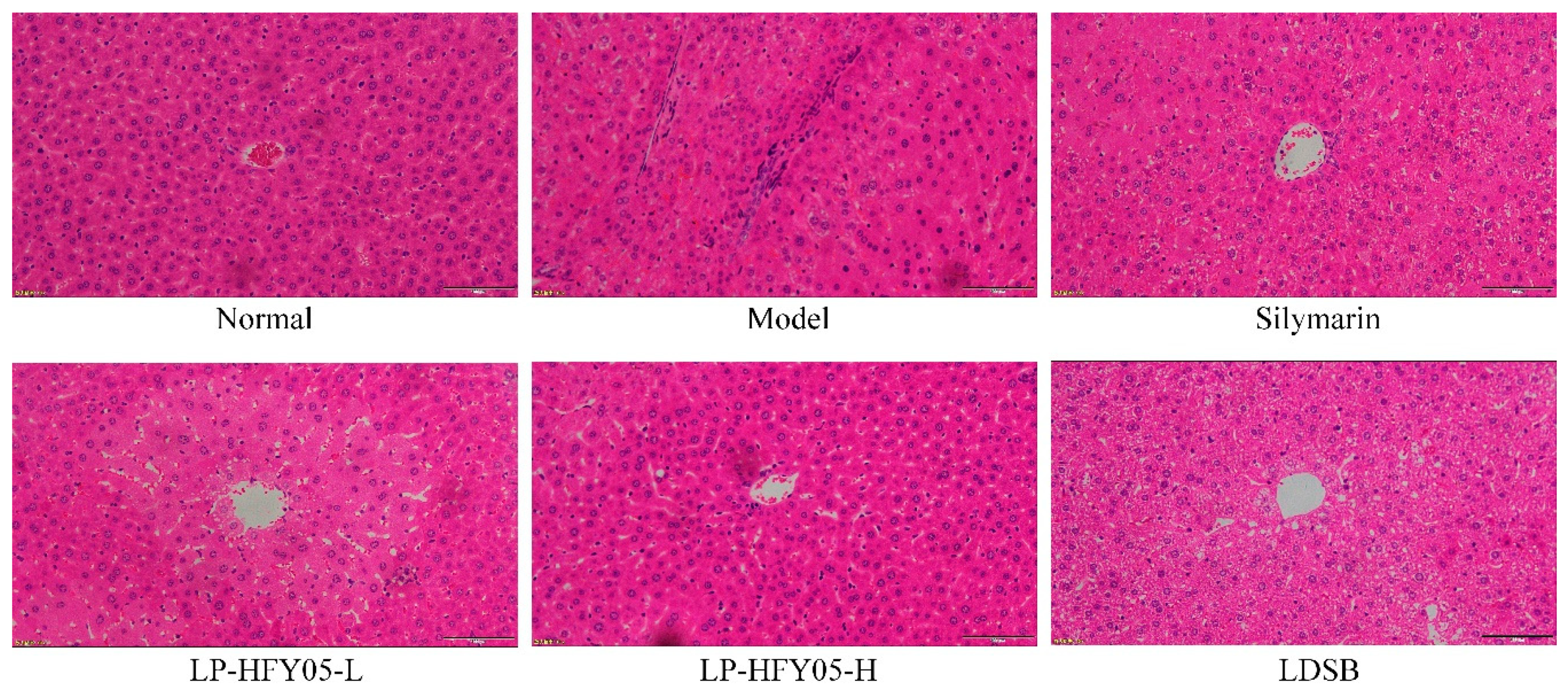 Microorganisms 07 00530 g004