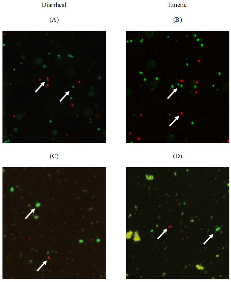 Microorganisms 07 00536 g002