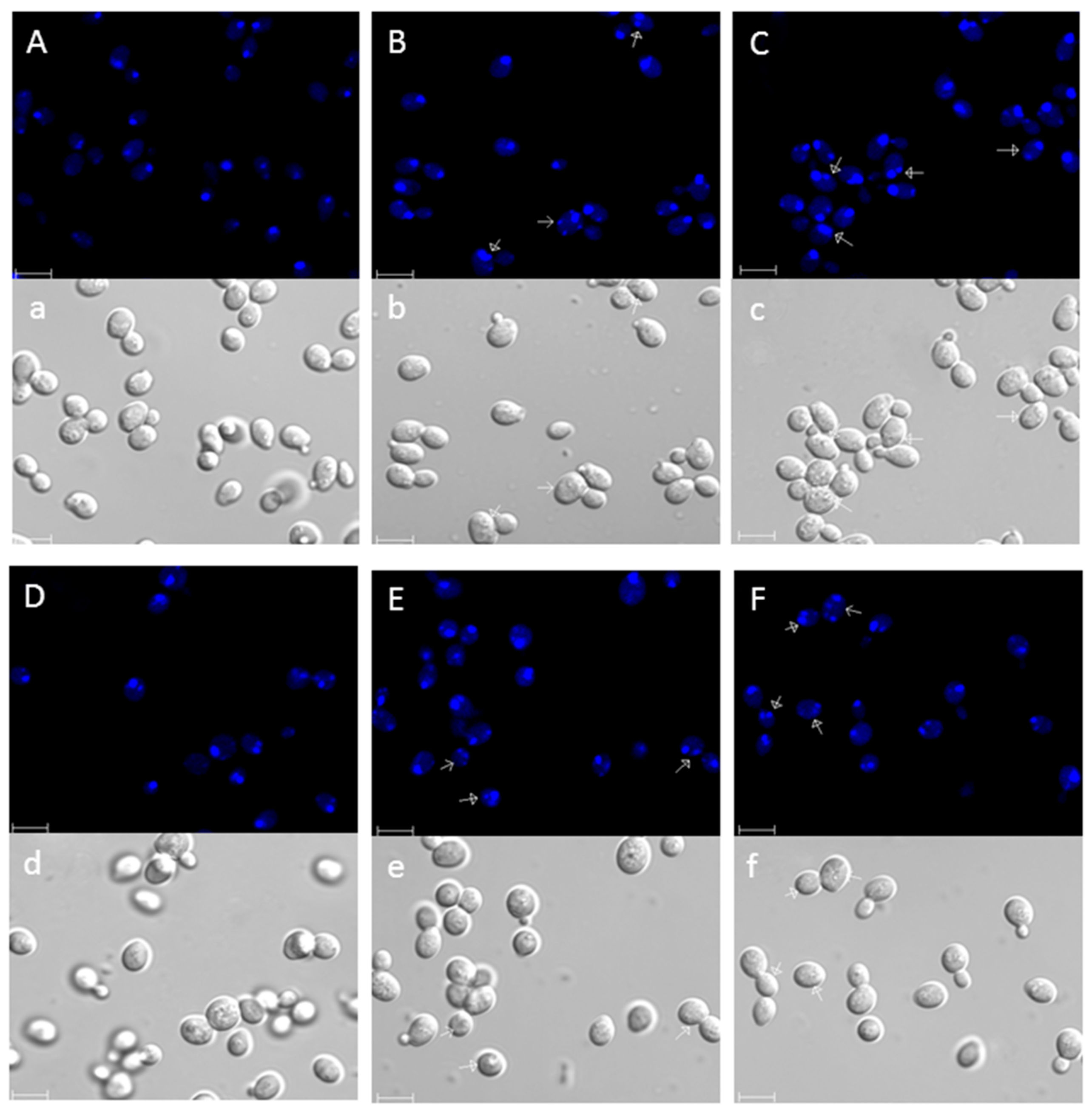 Microorganisms 07 00538 g002 Microorganisms 07 00538 g002