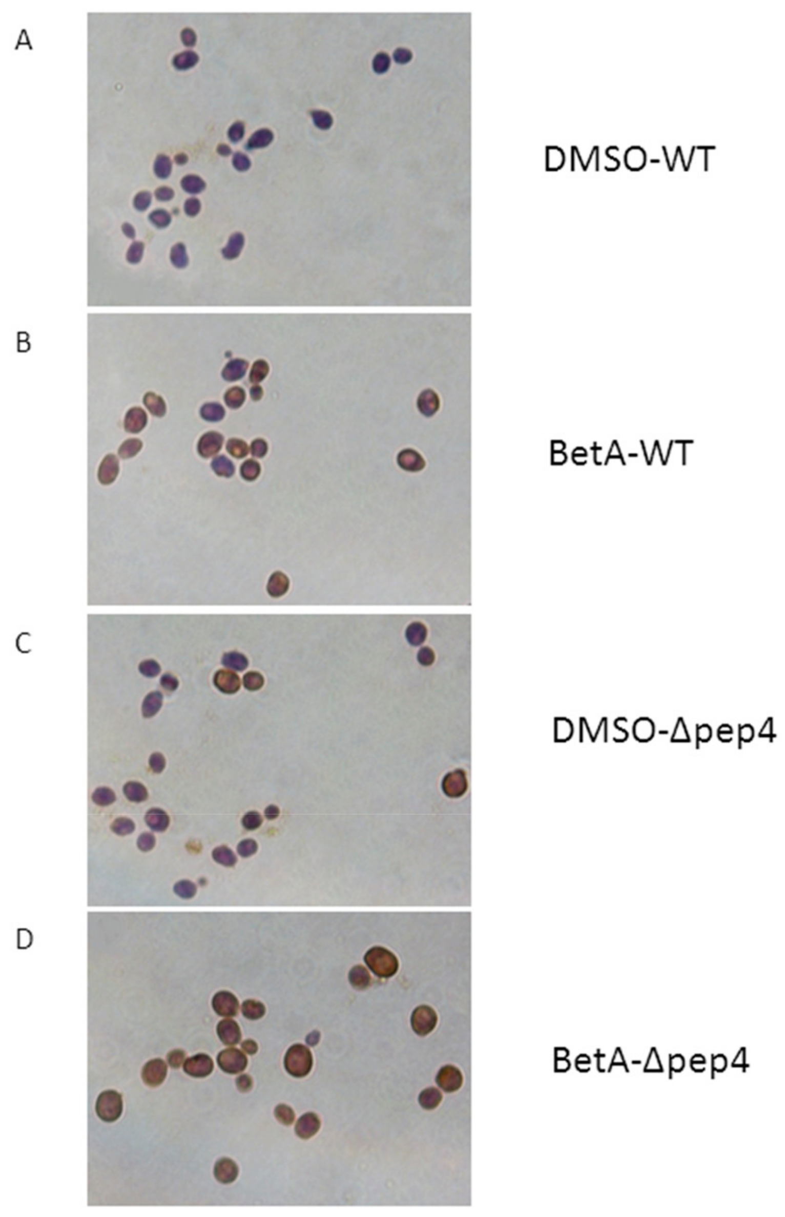 Microorganisms 07 00538 g004 Microorganisms 07 00538 g004