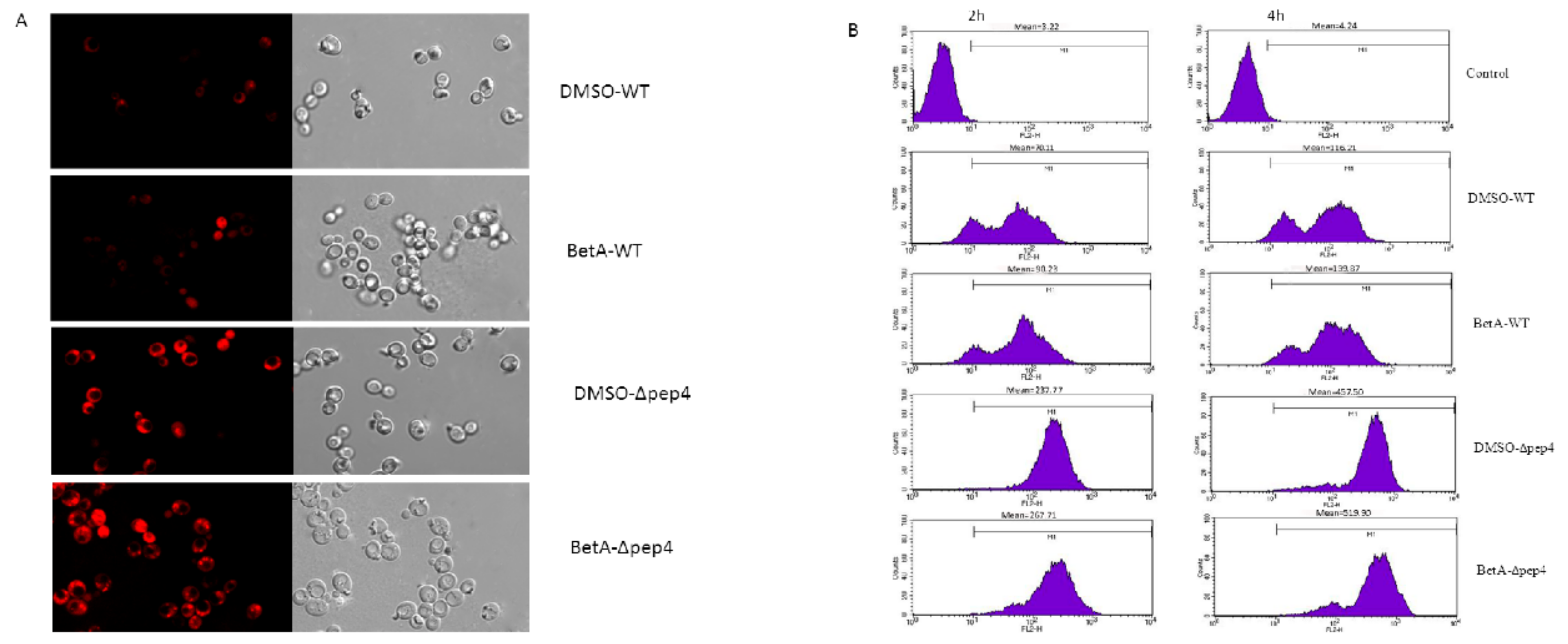Microorganisms 07 00538 g006 Microorganisms 07 00538 g006