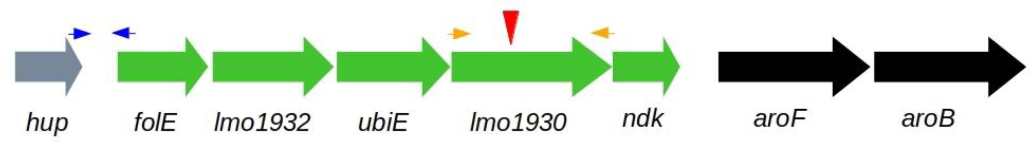 Microorganisms 07 00539 g001 550