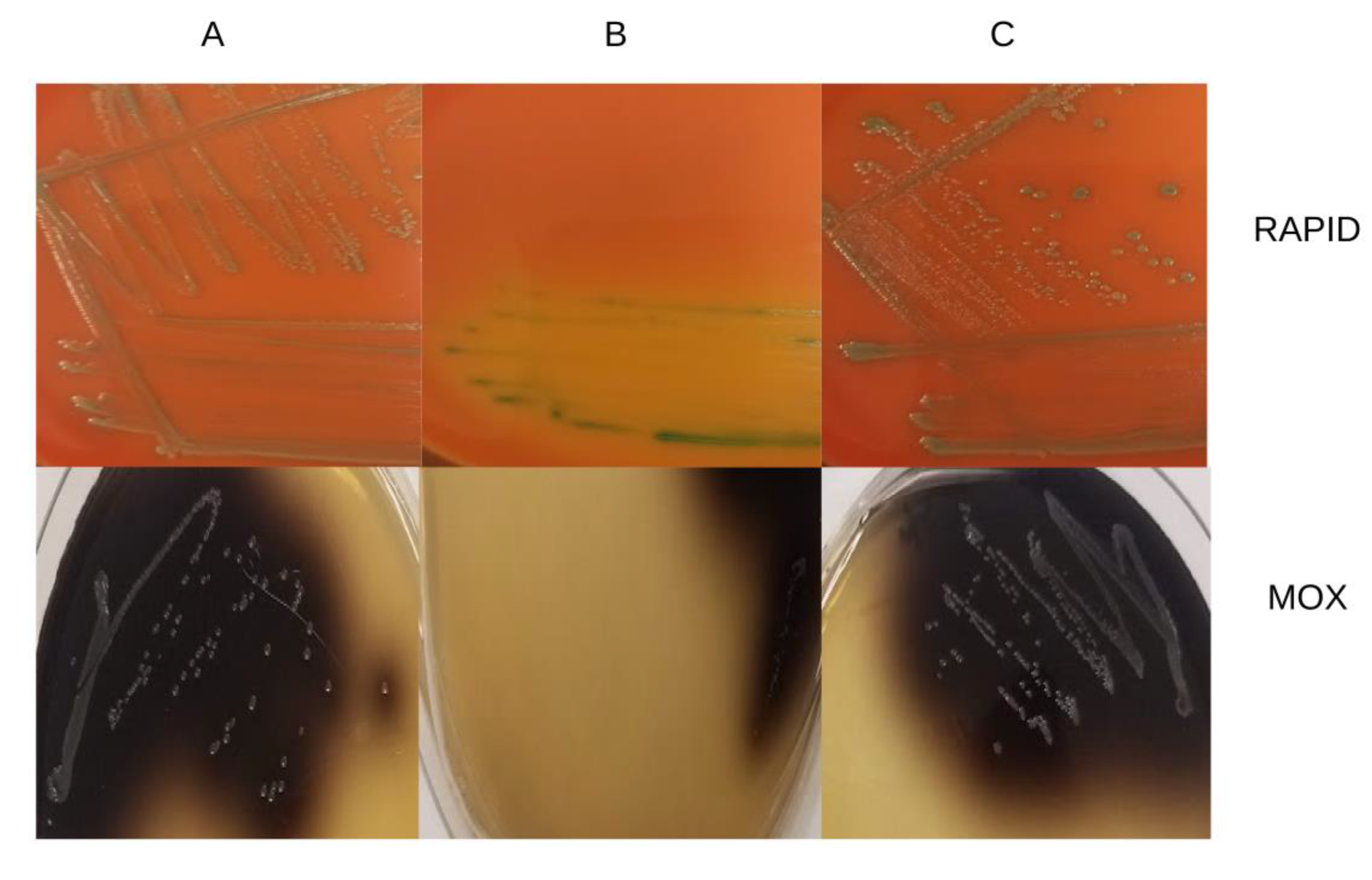 Microorganisms 07 00539 g005 550