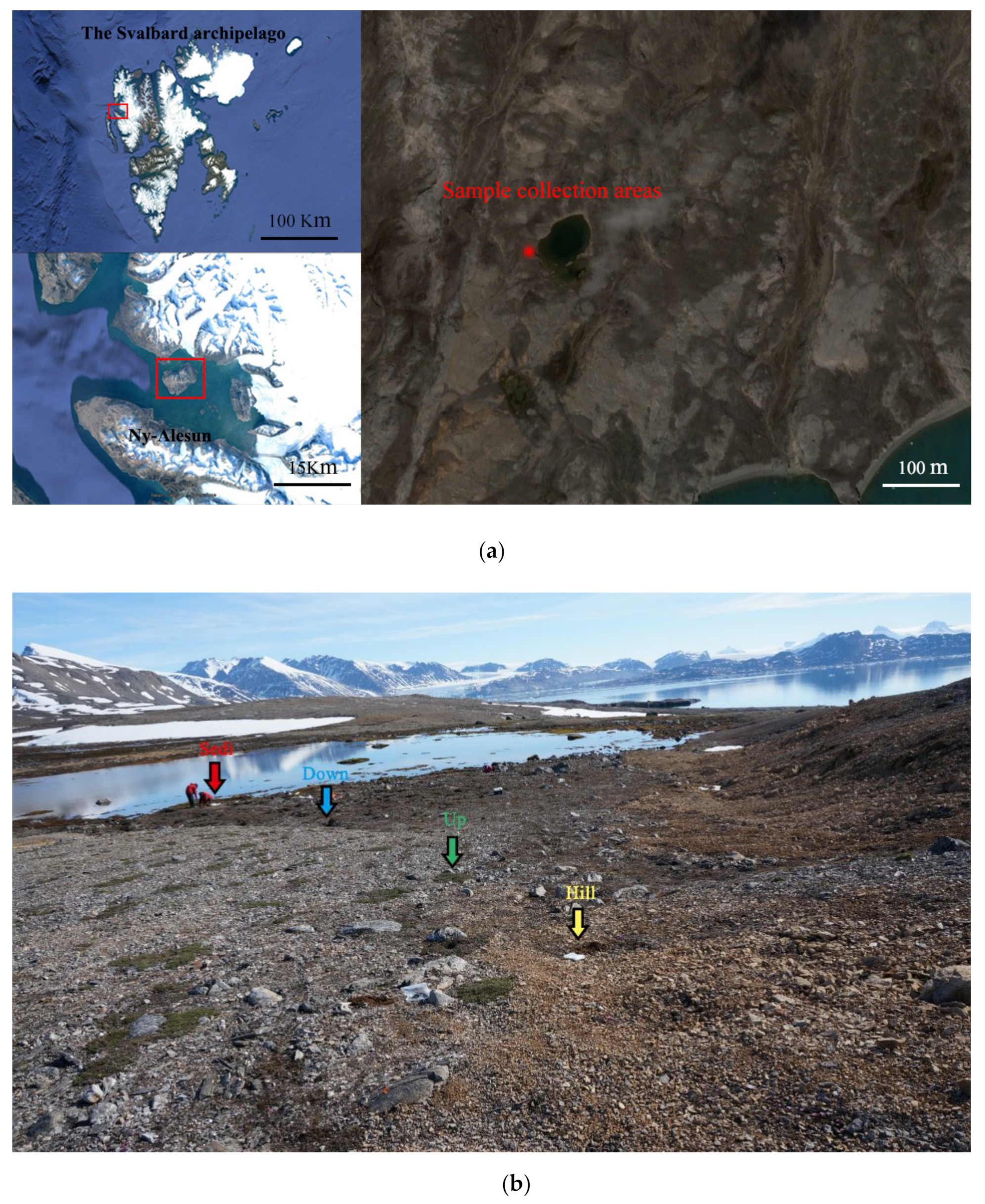 Microorganisms 07 00543 g001 Microorganisms 07 00543 g001