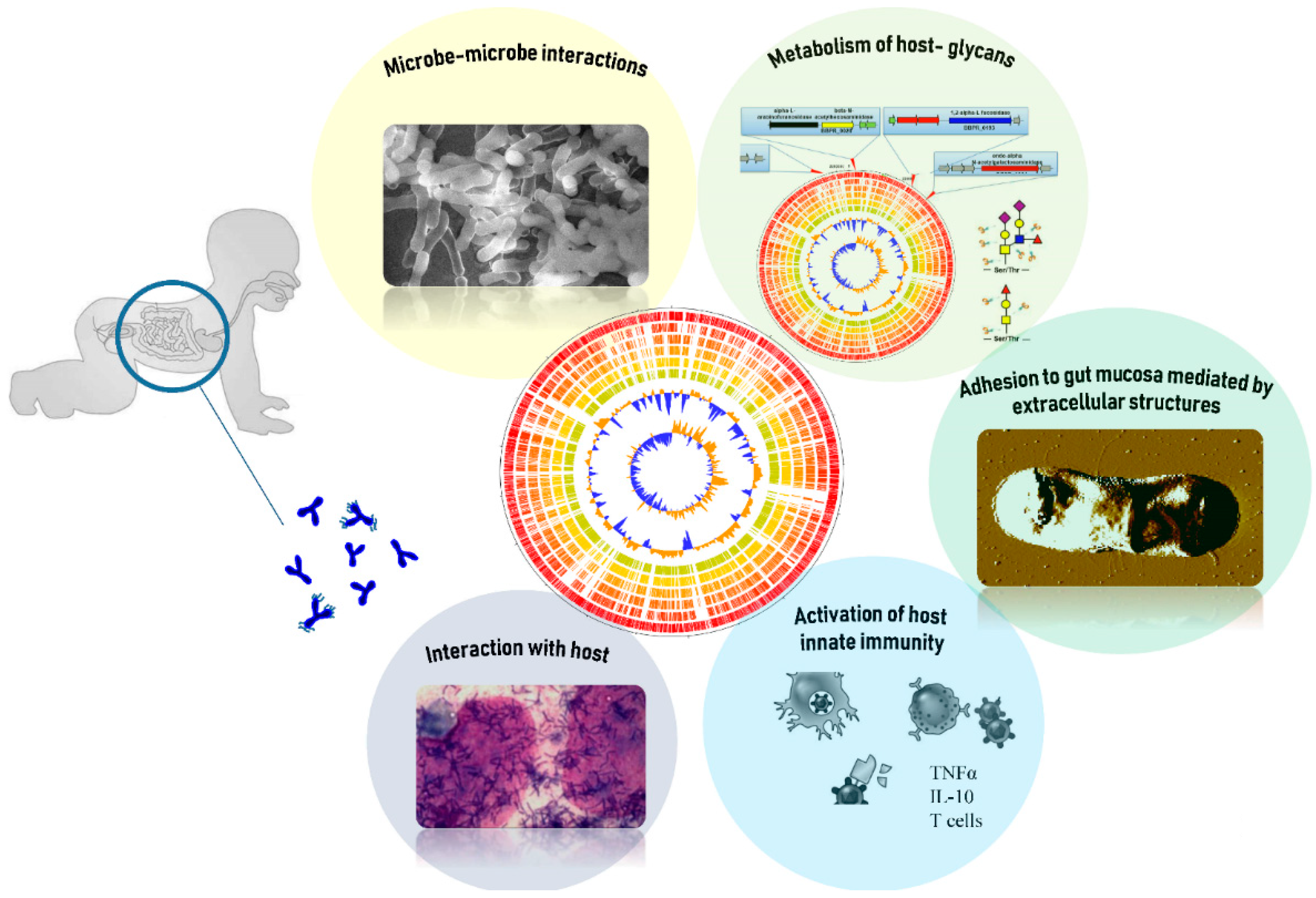 Microorganisms 07 00544 g001 Microorganisms 07 00544 g001