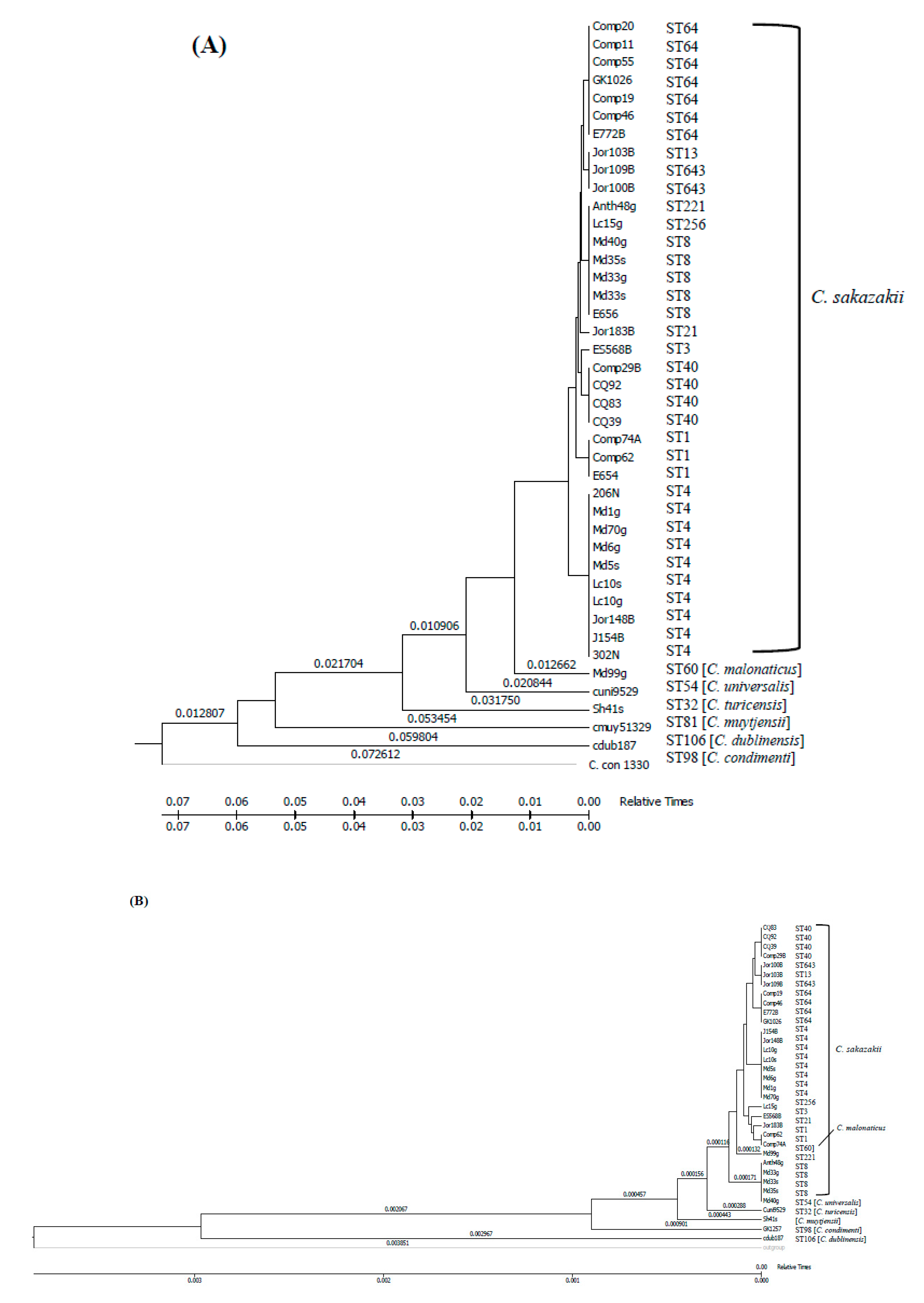 Microorganisms 07 00554 g004