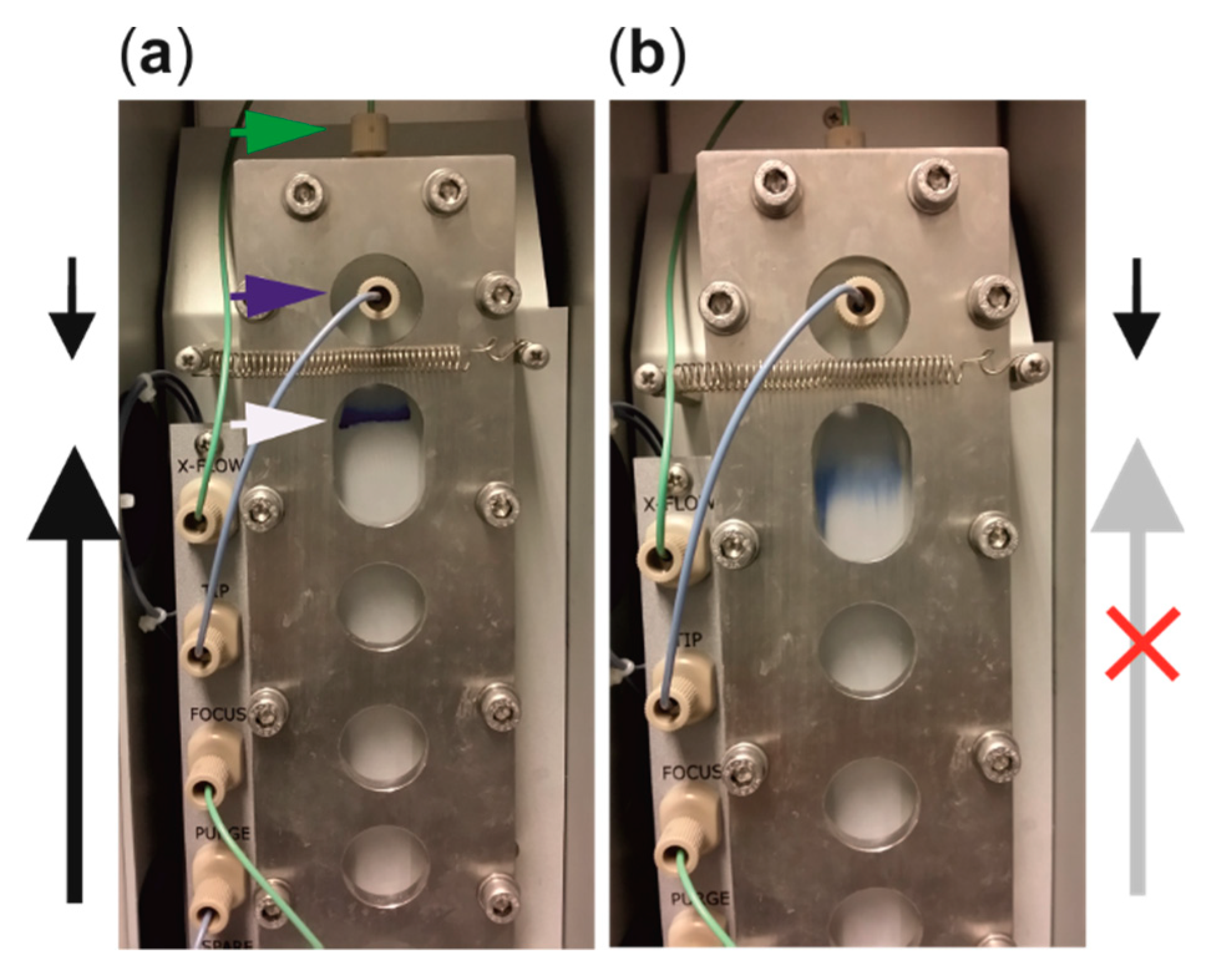 Microorganisms 07 00555 g005