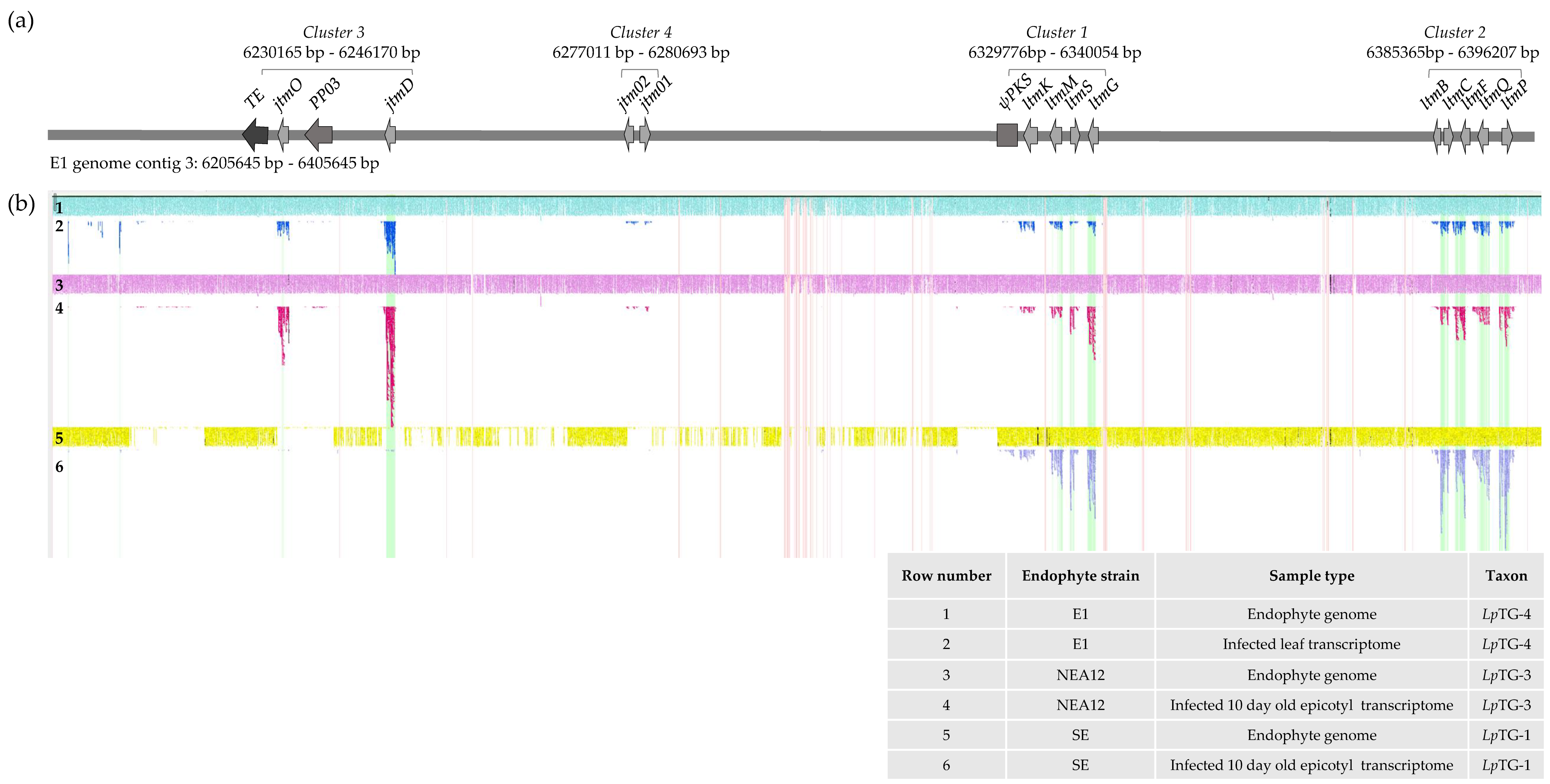Microorganisms 07 00560 g003 Microorganisms 07 00560 g003