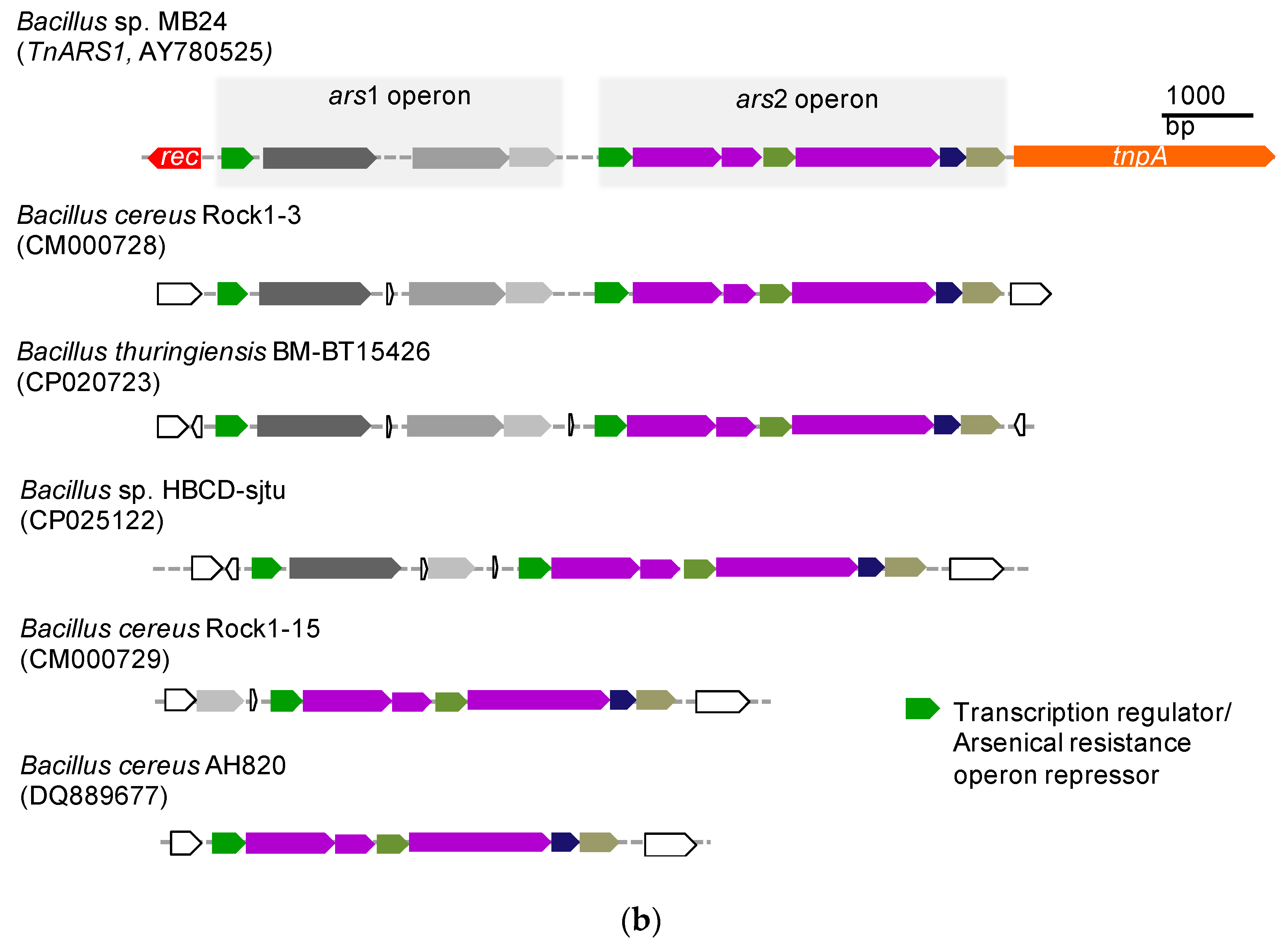 Microorganisms 07 00566 g004b Microorganisms 07 00566 g004b