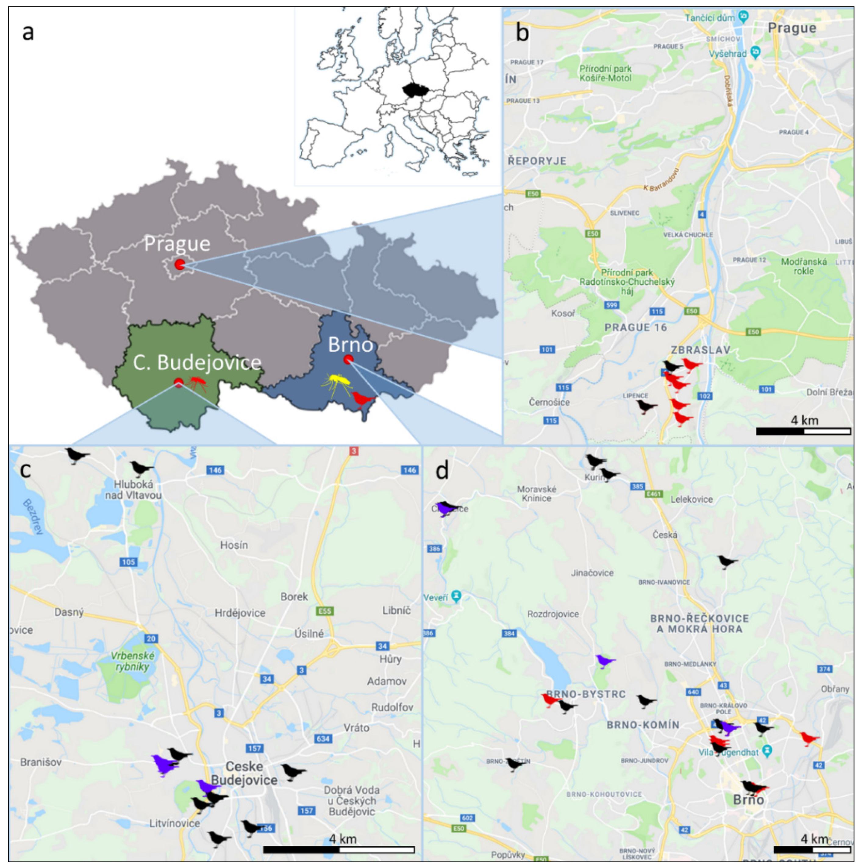 Microorganisms 07 00568 g001 Microorganisms 07 00568 g001