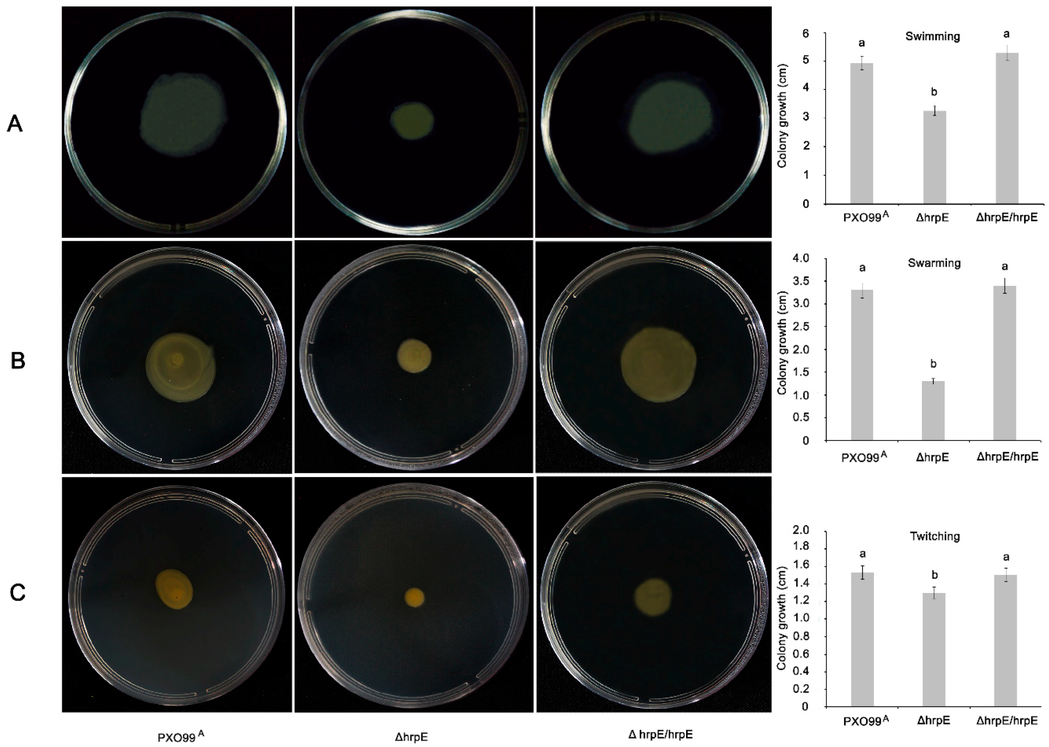 Microorganisms 07 00572 g002 Microorganisms 07 00572 g002