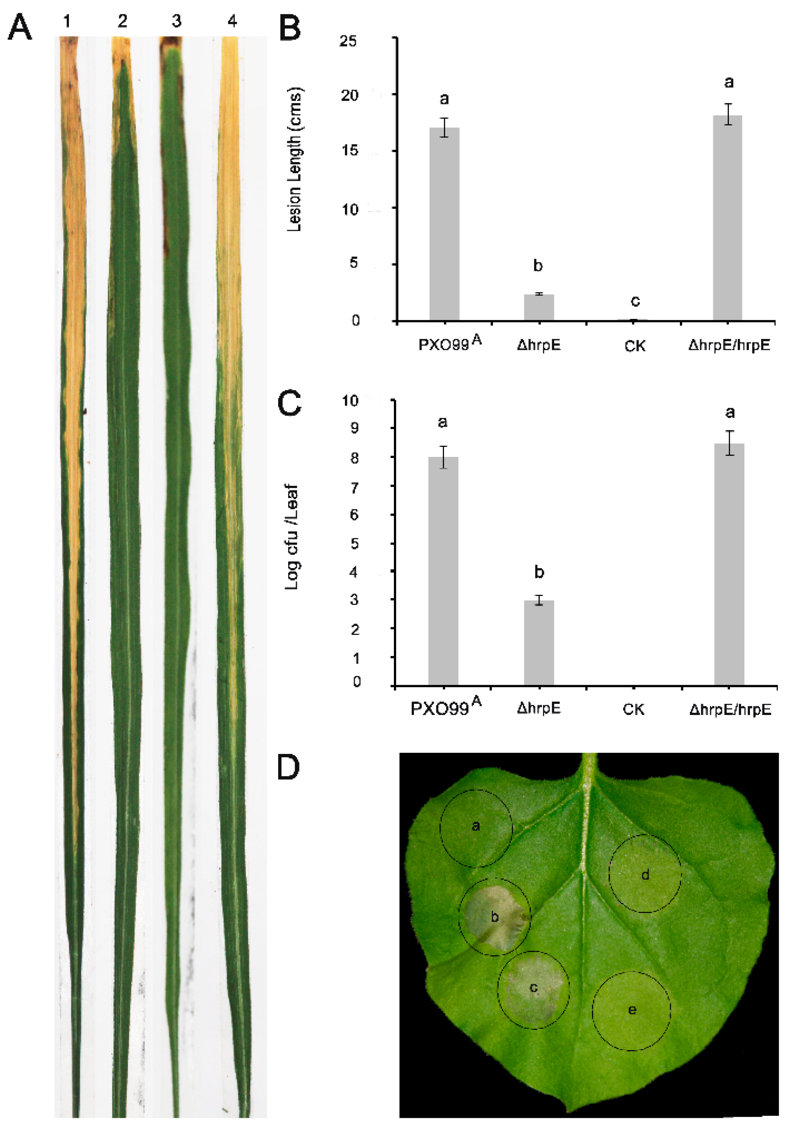 Microorganisms 07 00572 g003 Microorganisms 07 00572 g003