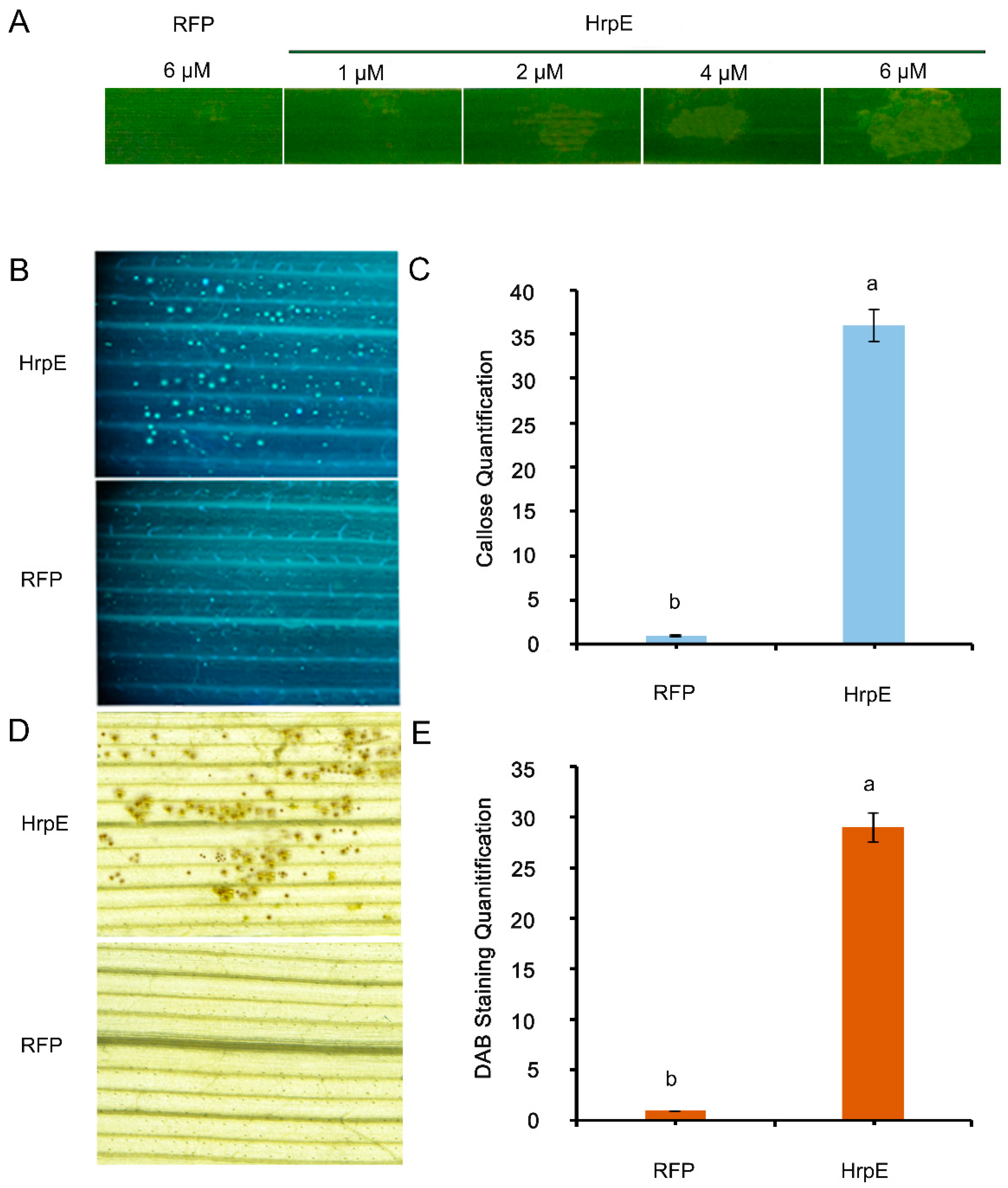 Microorganisms 07 00572 g005 Microorganisms 07 00572 g005