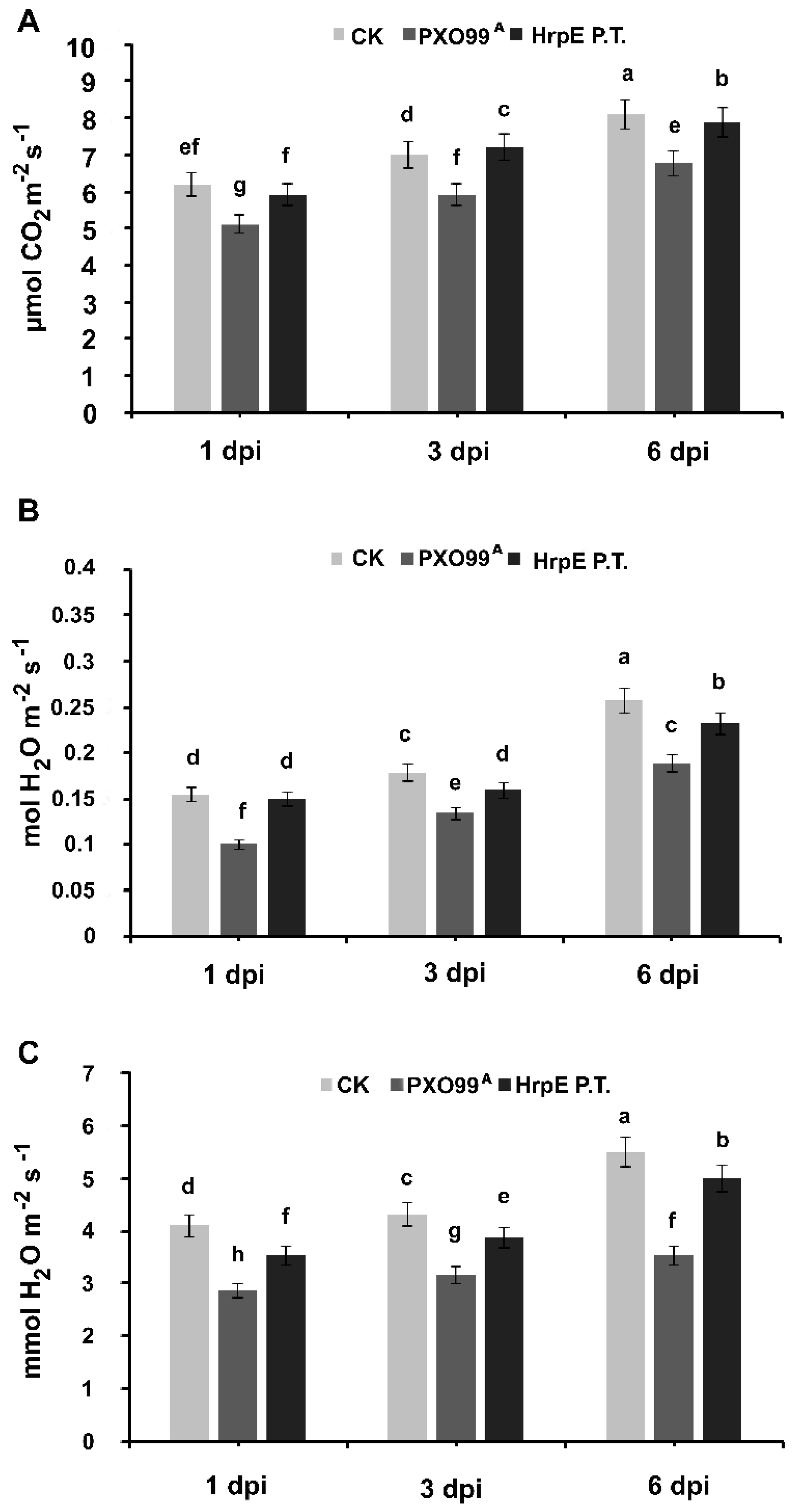Microorganisms 07 00572 g008 Microorganisms 07 00572 g008