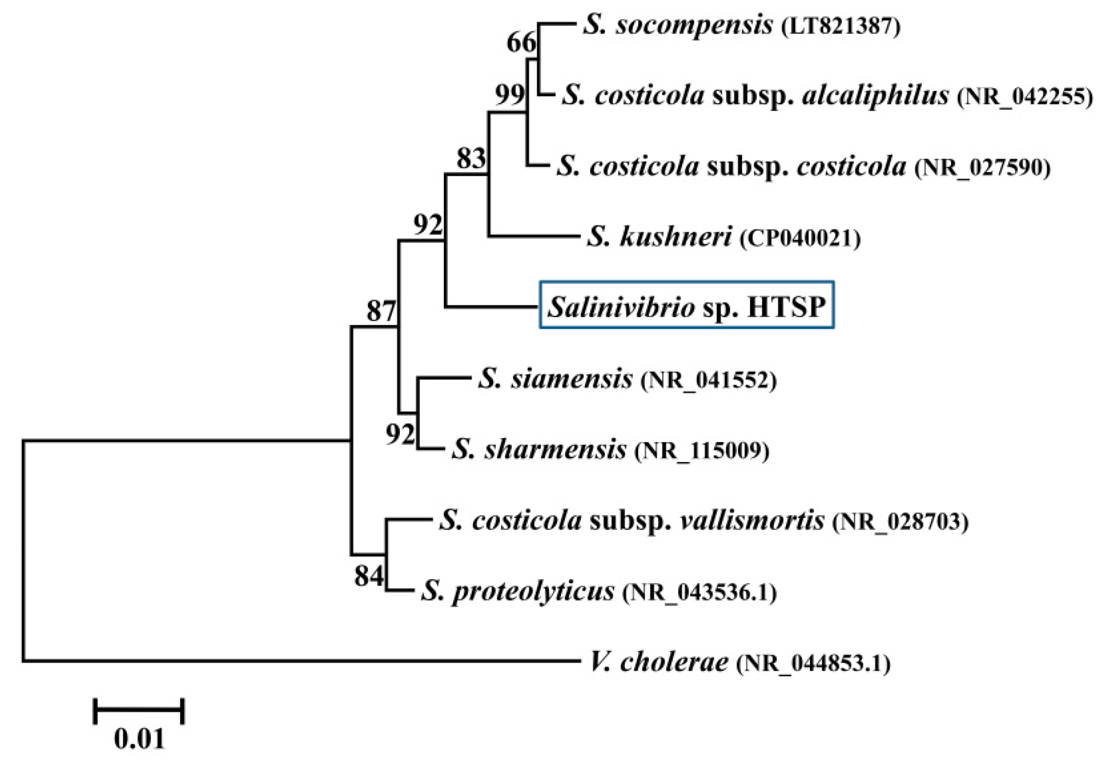 Microorganisms 07 00577 g001