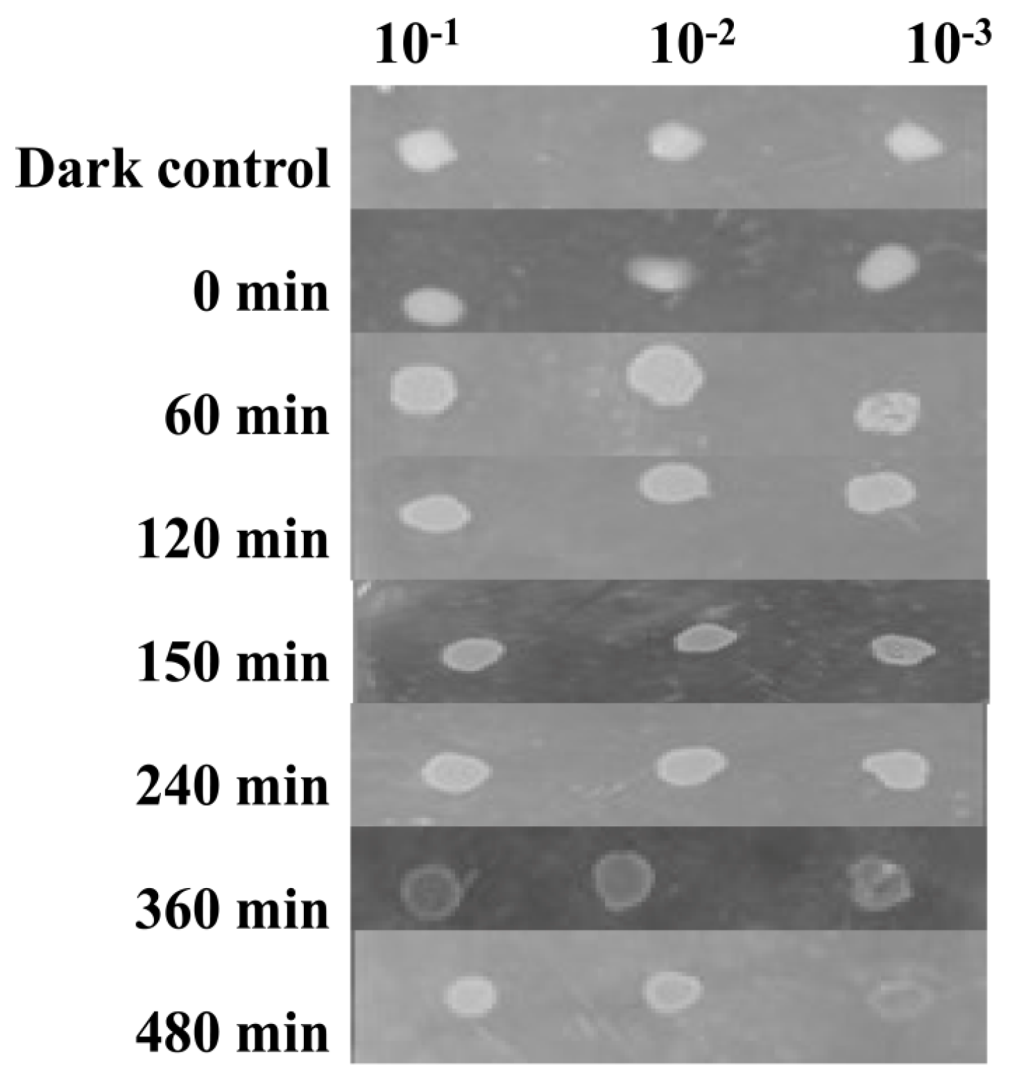 Microorganisms 07 00577 g004