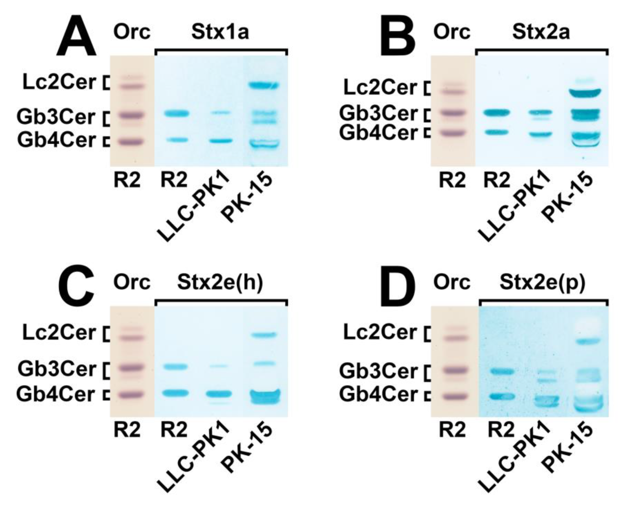 Microorganisms 07 00582 g002 Microorganisms 07 00582 g002