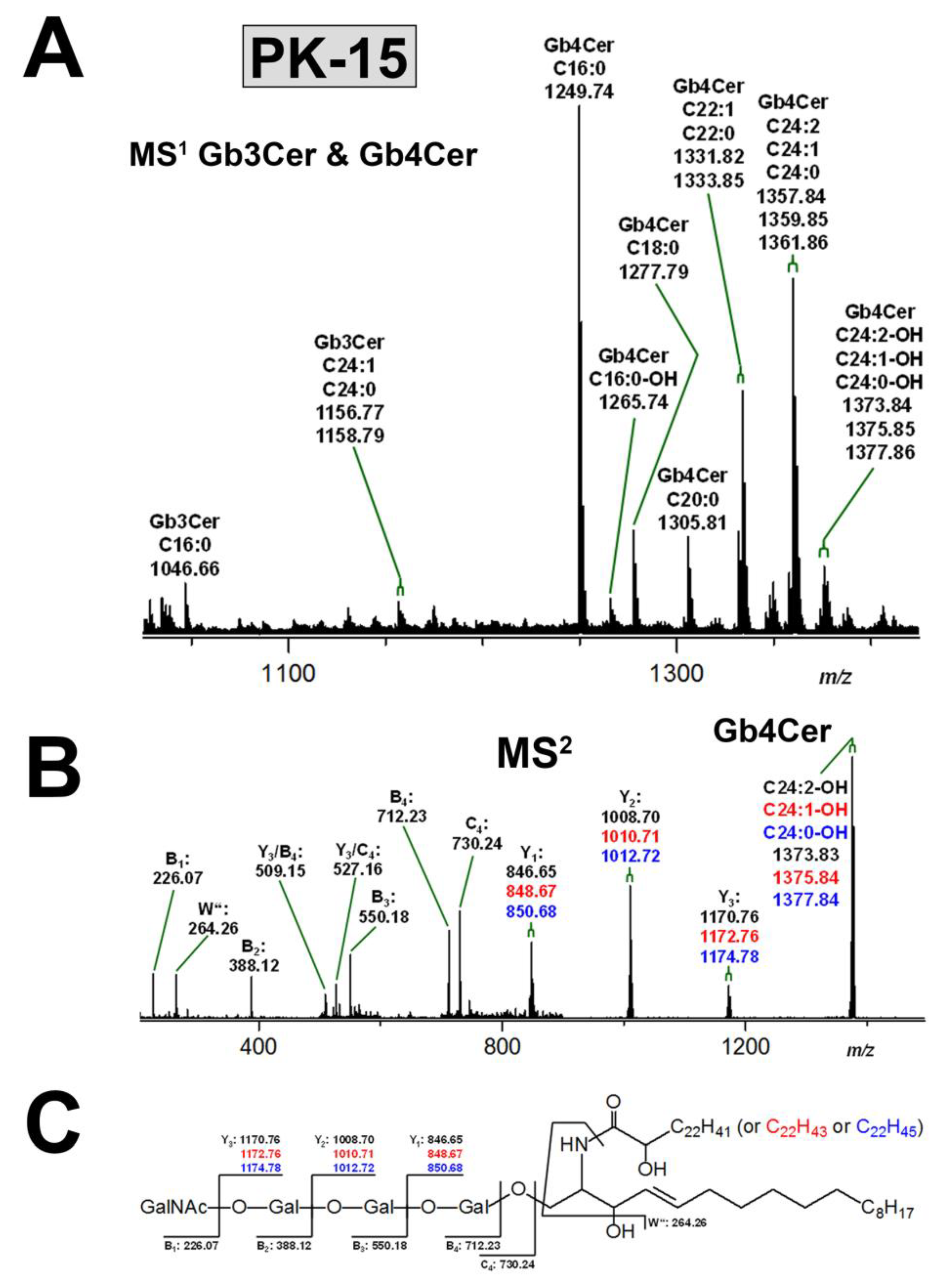 Microorganisms 07 00582 g004 Microorganisms 07 00582 g004
