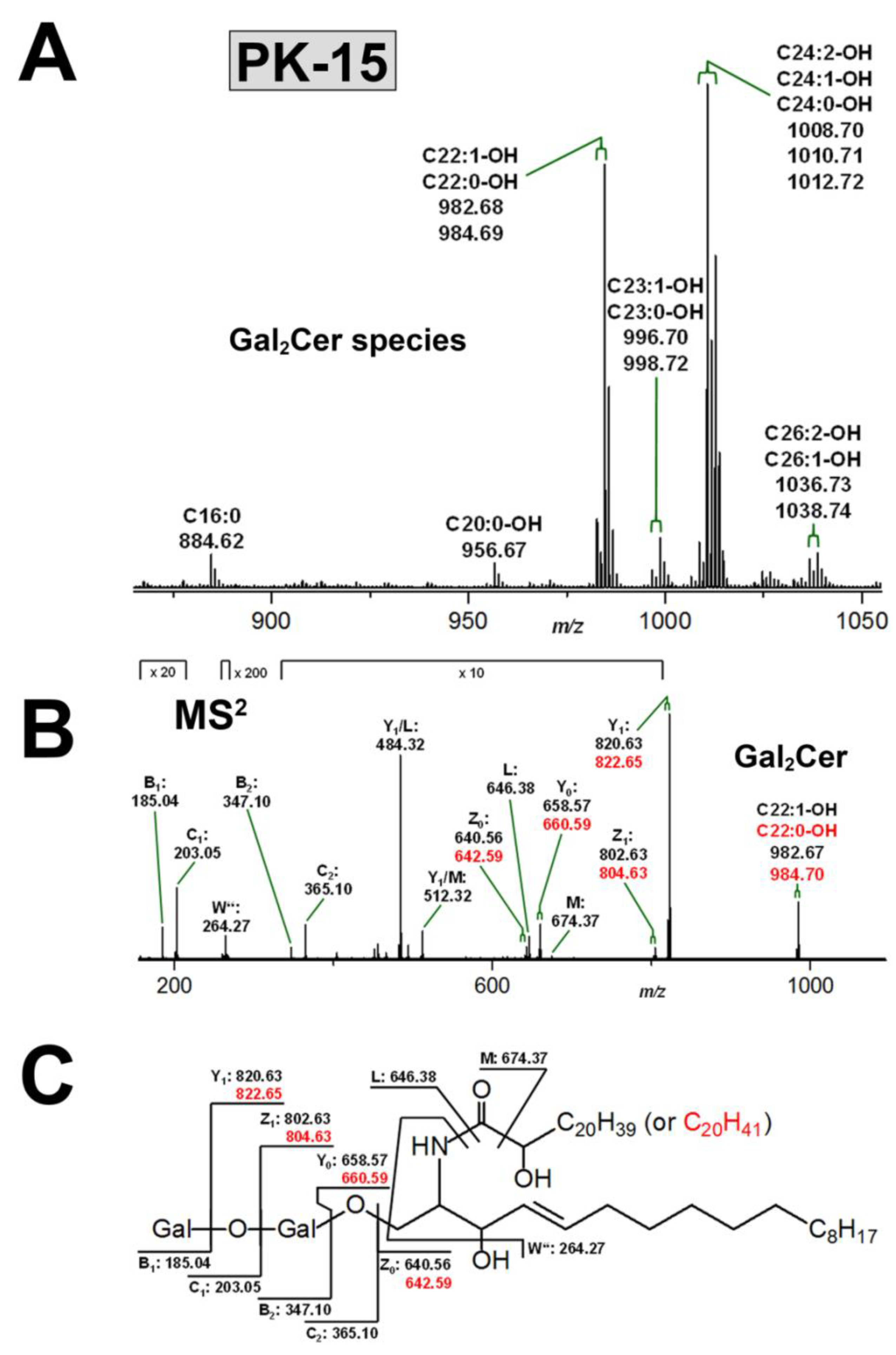 Microorganisms 07 00582 g005 Microorganisms 07 00582 g005