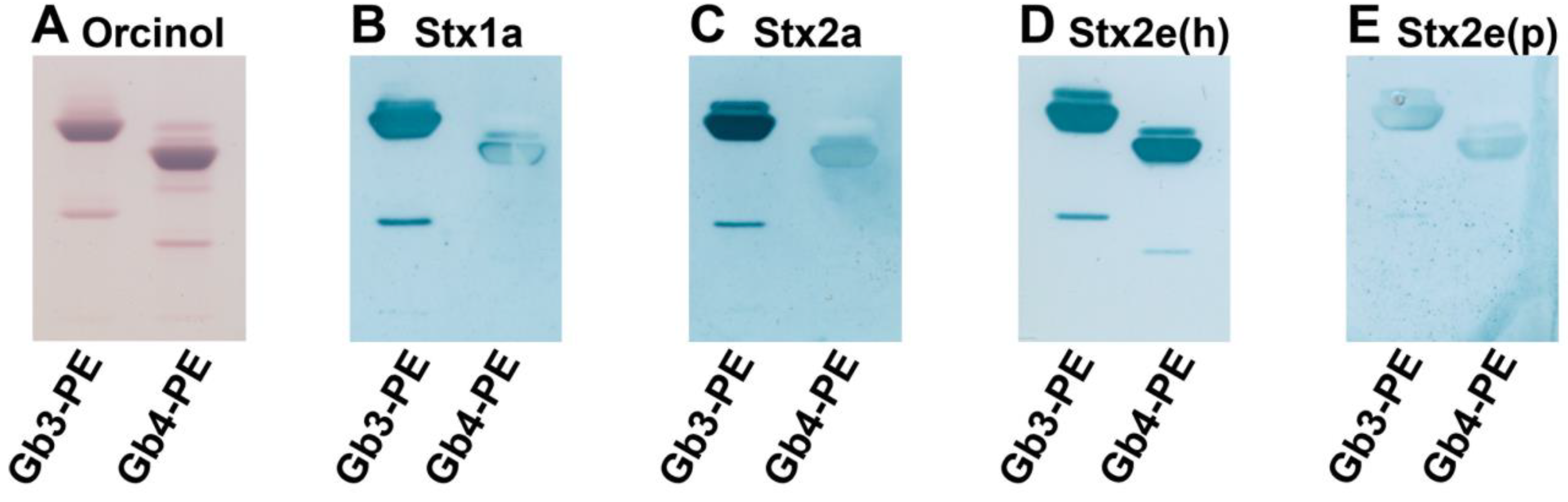 Microorganisms 07 00582 g006 Microorganisms 07 00582 g006