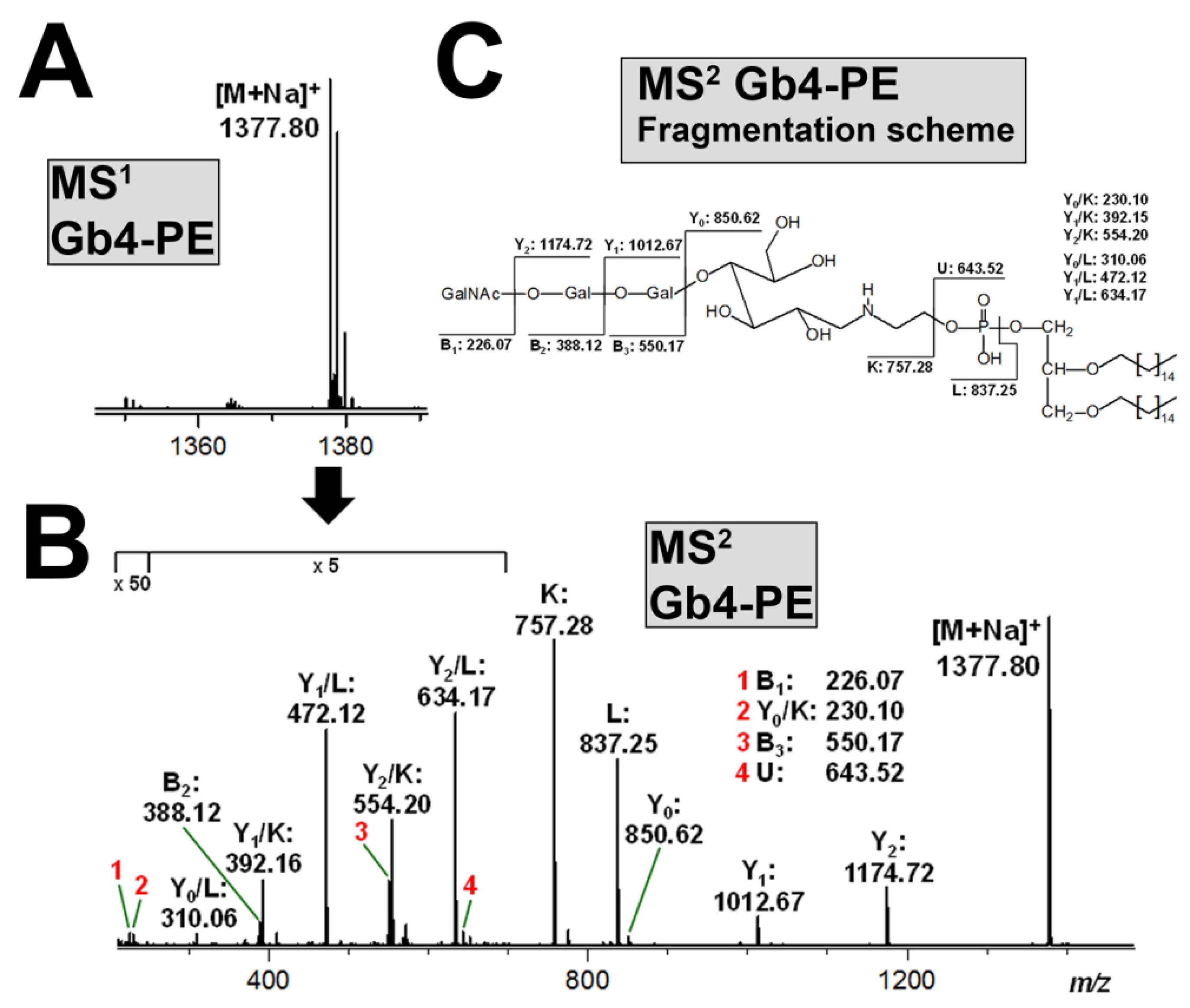 Microorganisms 07 00582 g008 Microorganisms 07 00582 g008