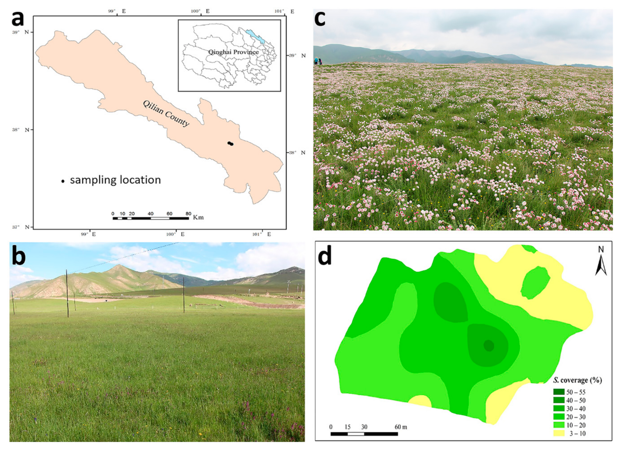 Microorganisms 07 00587 g001