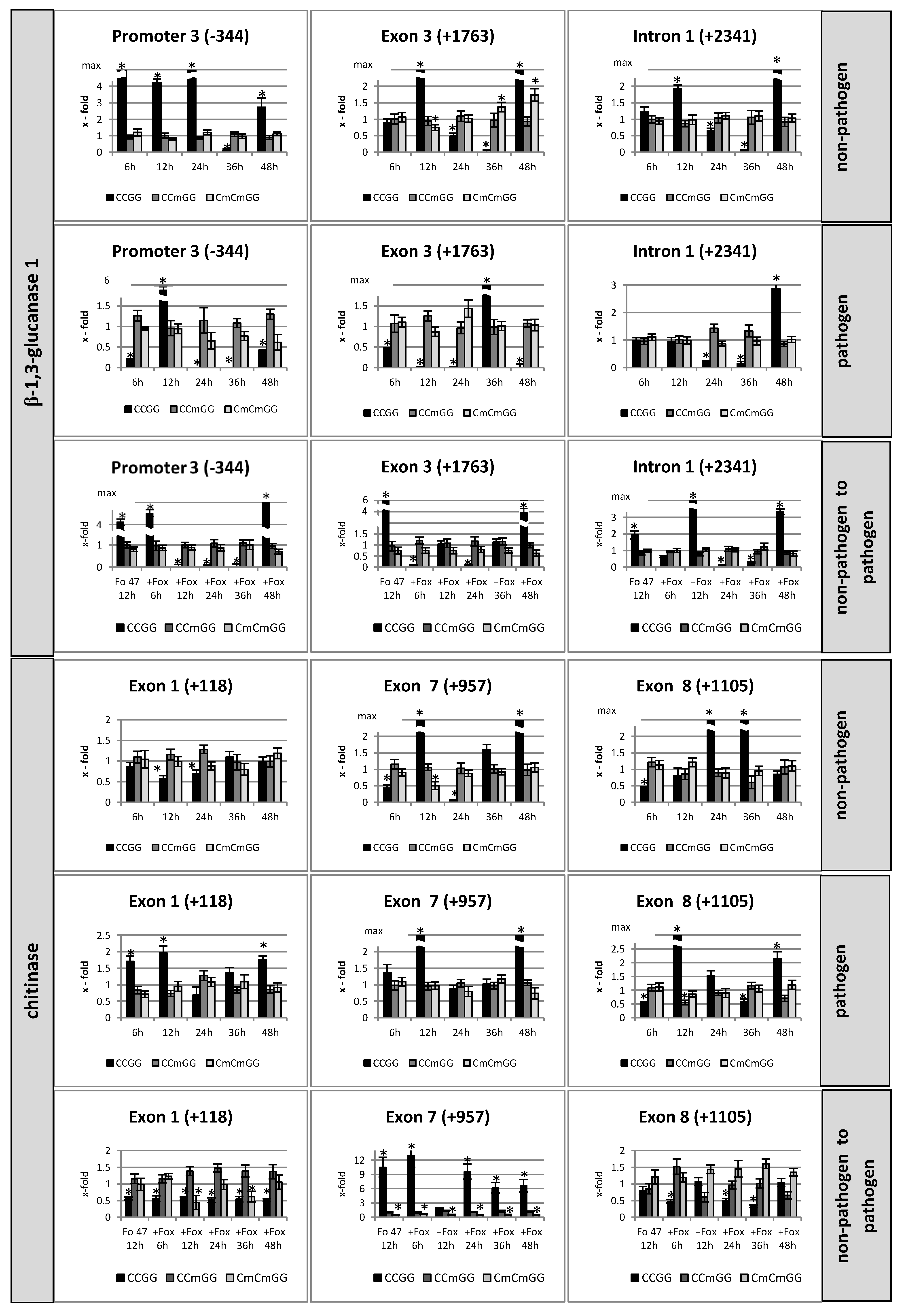 Microorganisms 07 00589 g001