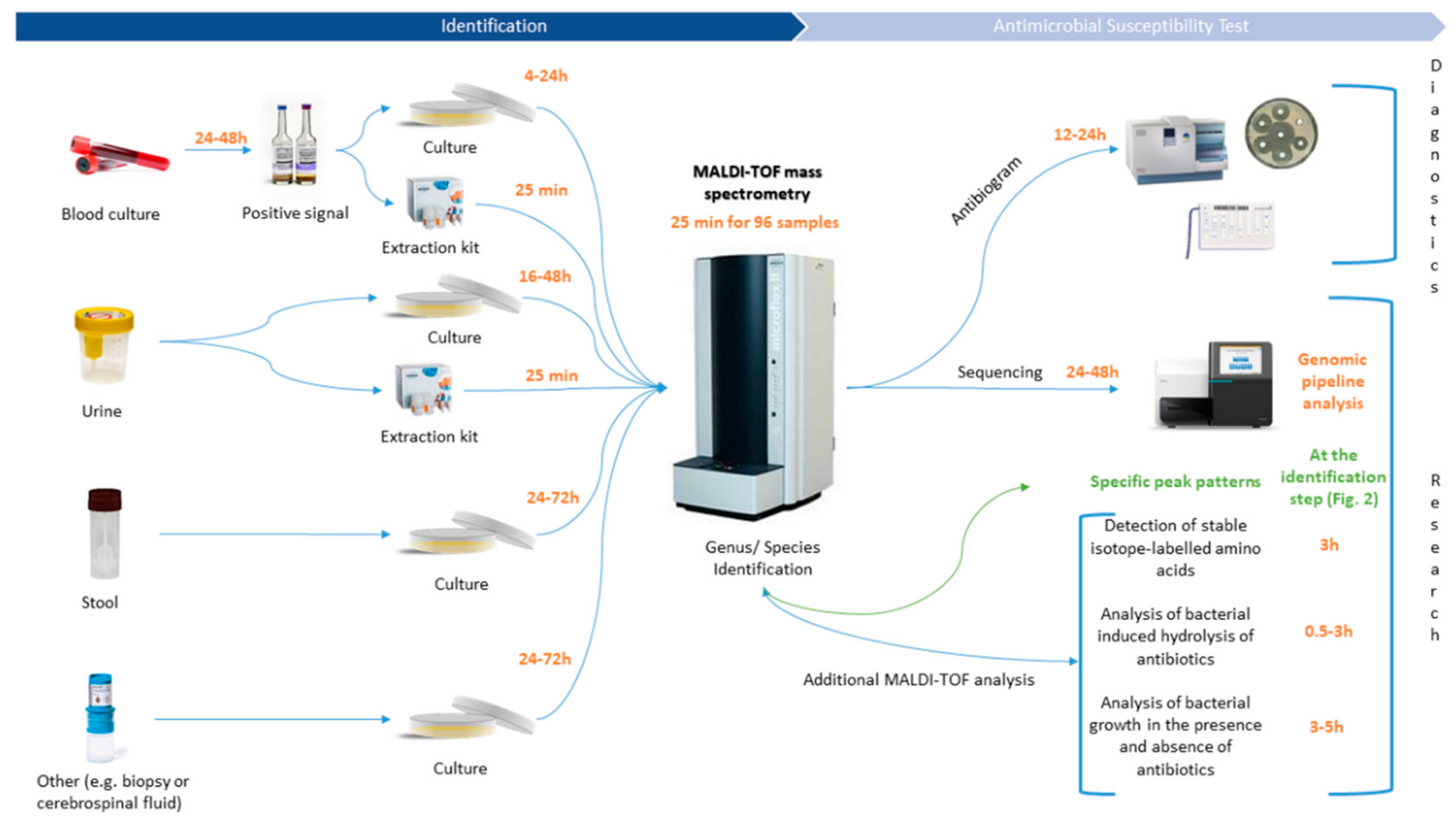 Microorganisms 07 00593 g001 Microorganisms 07 00593 g001