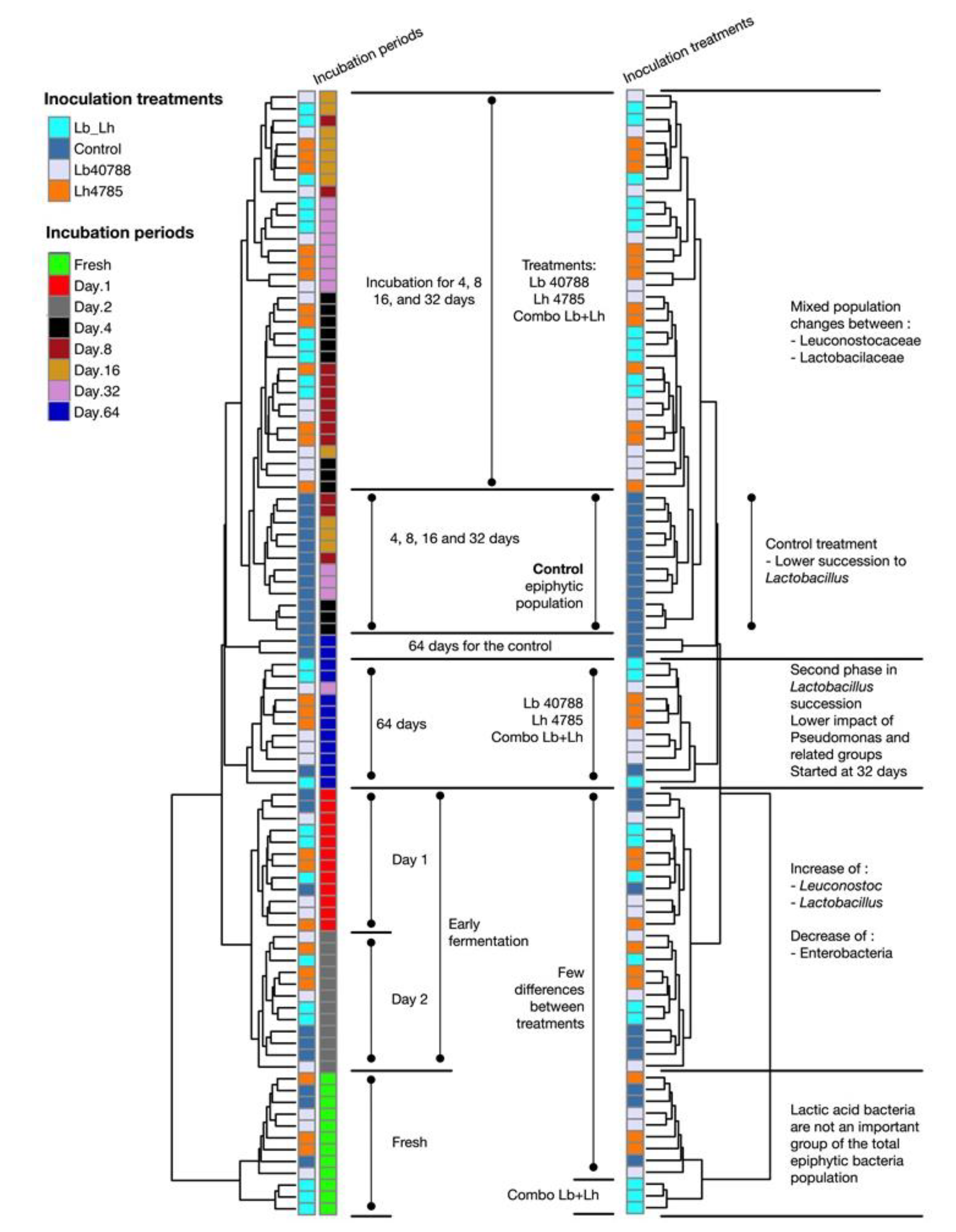 Microorganisms 07 00595 g002