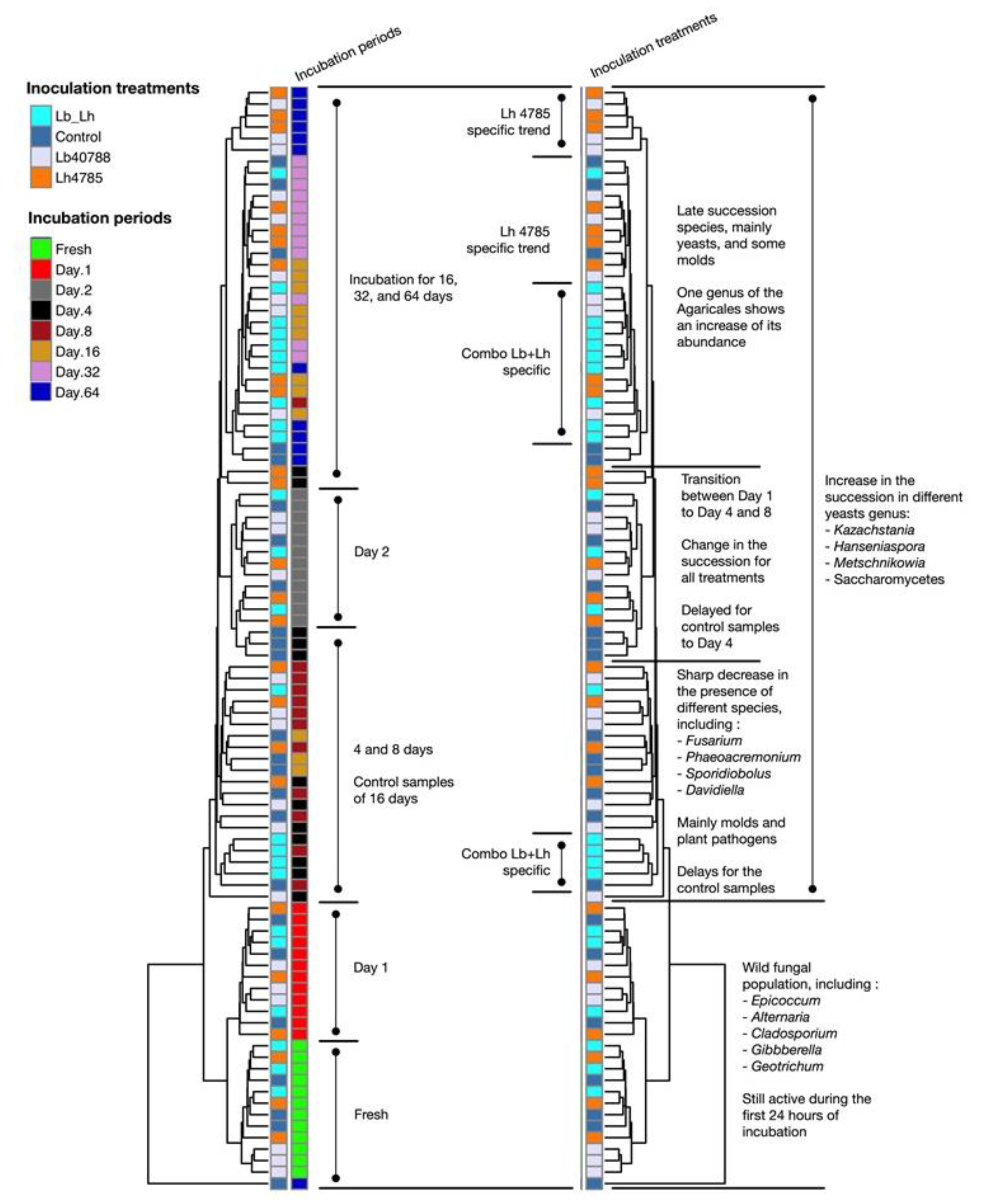 Microorganisms 07 00595 g005