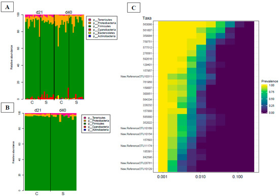 Microorganisms Free Full Text Dietary Saccharomyces Cerevisiae Boulardii Cncm I 1079 Positively Affects Performance And Intestinal Ecosystem In Broilers During A Campylobacter Jejuni Infection Html