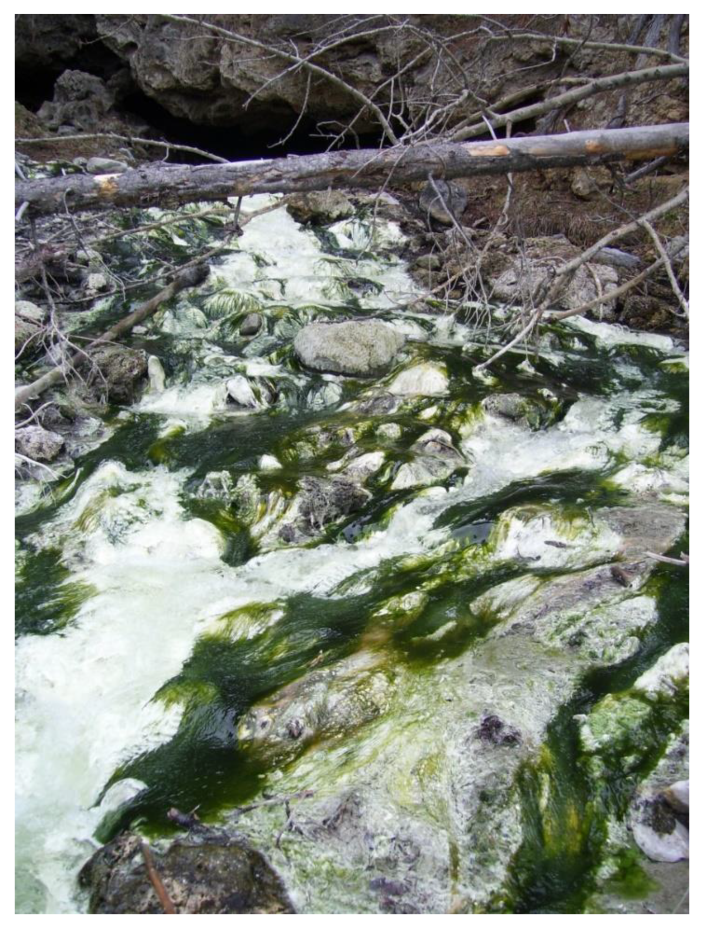 Microorganisms 07 00601 g002 Microorganisms 07 00601 g002