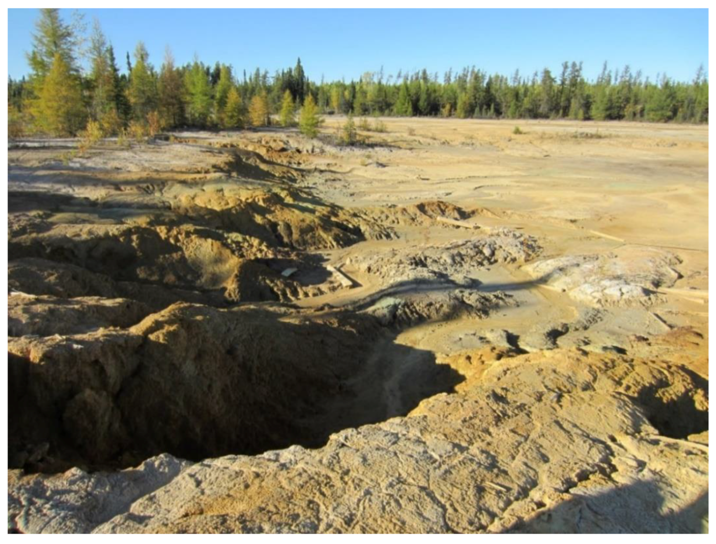 Microorganisms 07 00601 g004 Microorganisms 07 00601 g004