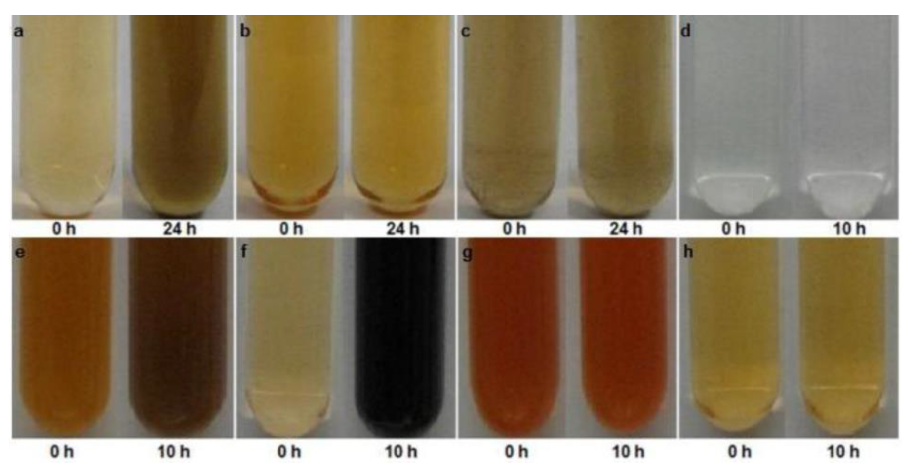 Microorganisms 07 00601 g006 Microorganisms 07 00601 g006