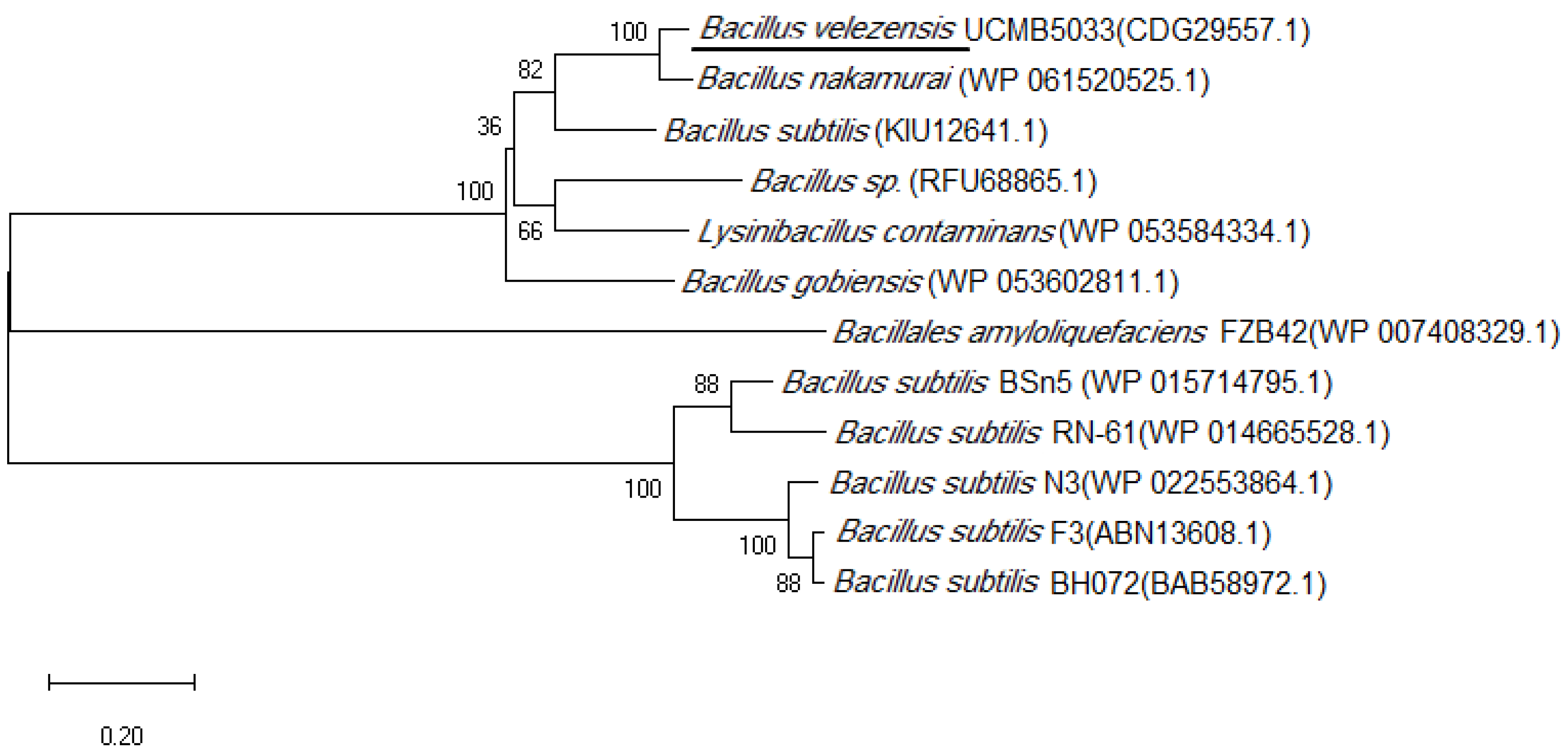 Microorganisms 07 00605 g004 Microorganisms 07 00605 g004