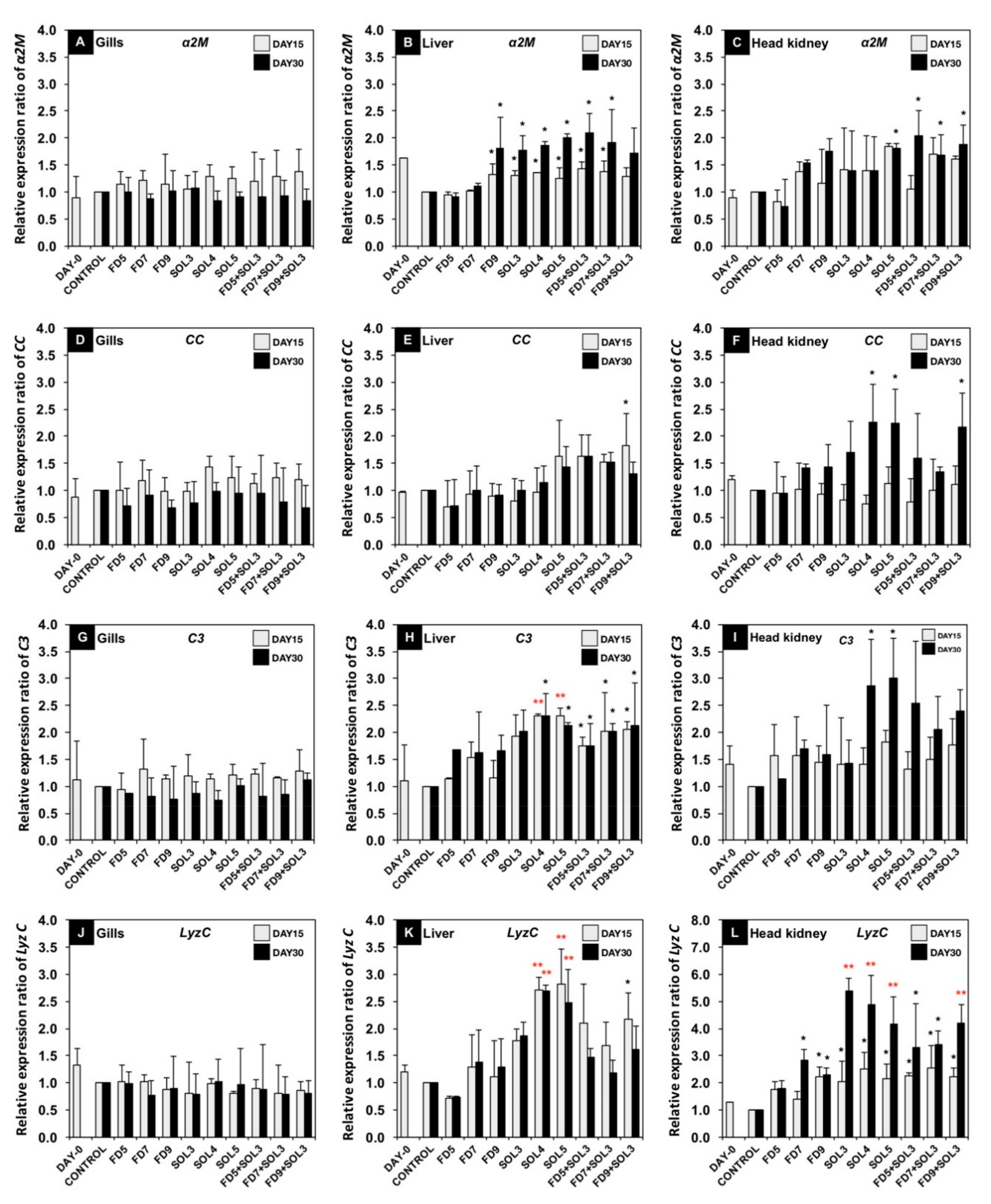 Microorganisms Free Full Text Probiotic Effects Of A Novel Strain Acinetobacter Ku011th On The Growth Performance Immune Responses And Resistance Against Aeromonas Hydrophila Of Bighead Catfish Clarias Macrocephalus Gunther 1864 Html