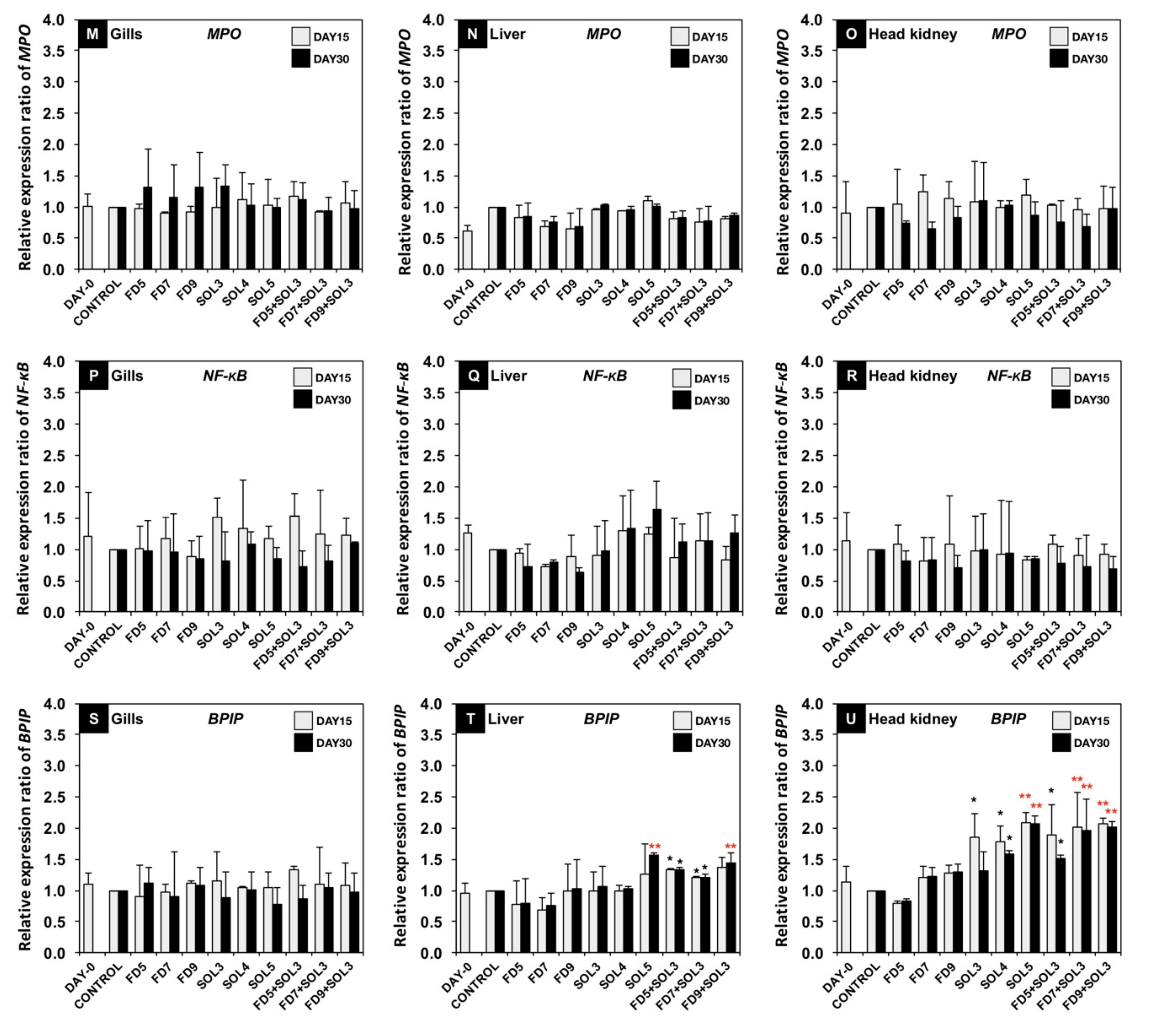 Microorganisms Free Full Text Probiotic Effects Of A Novel Strain Acinetobacter Ku011th On The Growth Performance Immune Responses And Resistance Against Aeromonas Hydrophila Of Bighead Catfish Clarias Macrocephalus Gunther 1864 Html