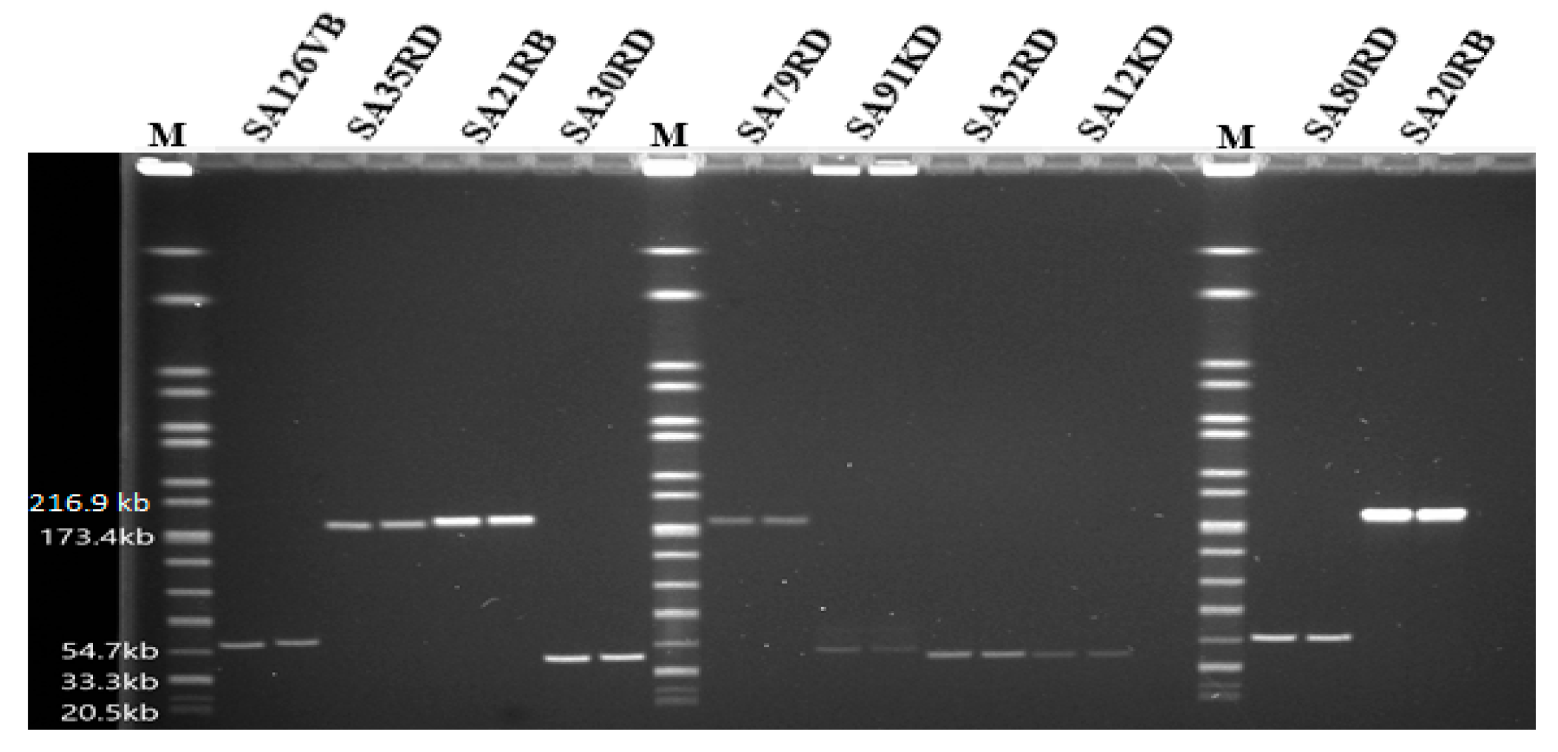 Microorganisms 07 00615 g003