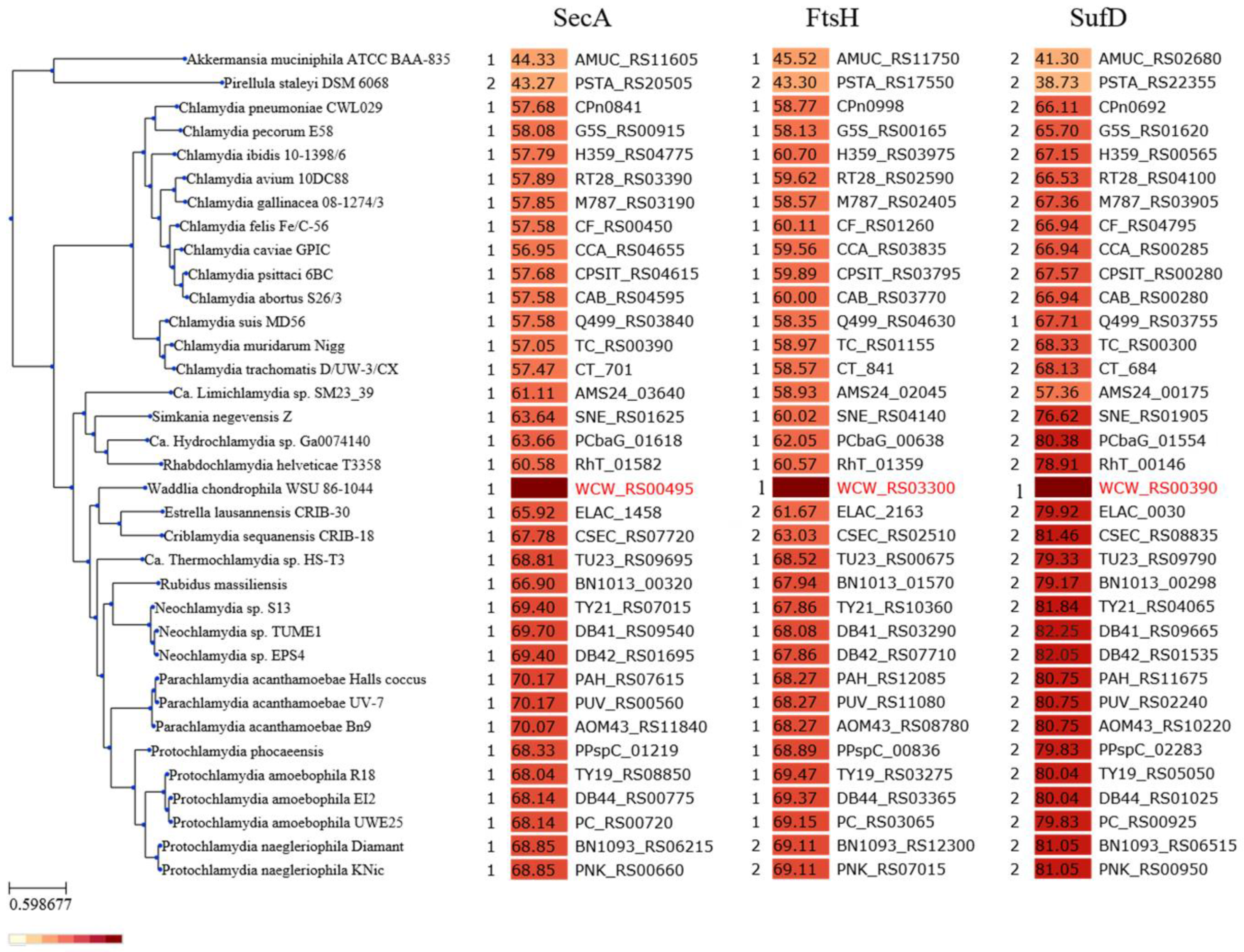 Microorganisms 07 00617 g001 Microorganisms 07 00617 g001